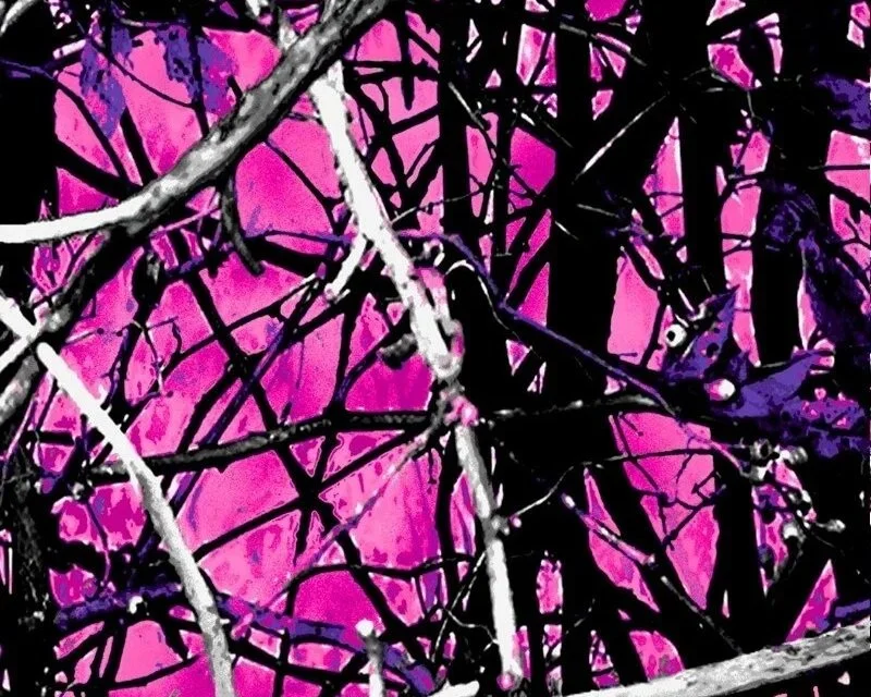 MOONSHINE MUDDY GIRL