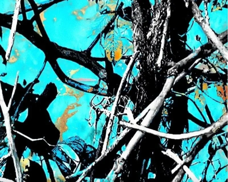 ***MOONSHINE SERENITY 898 SPECIAL ORDER 