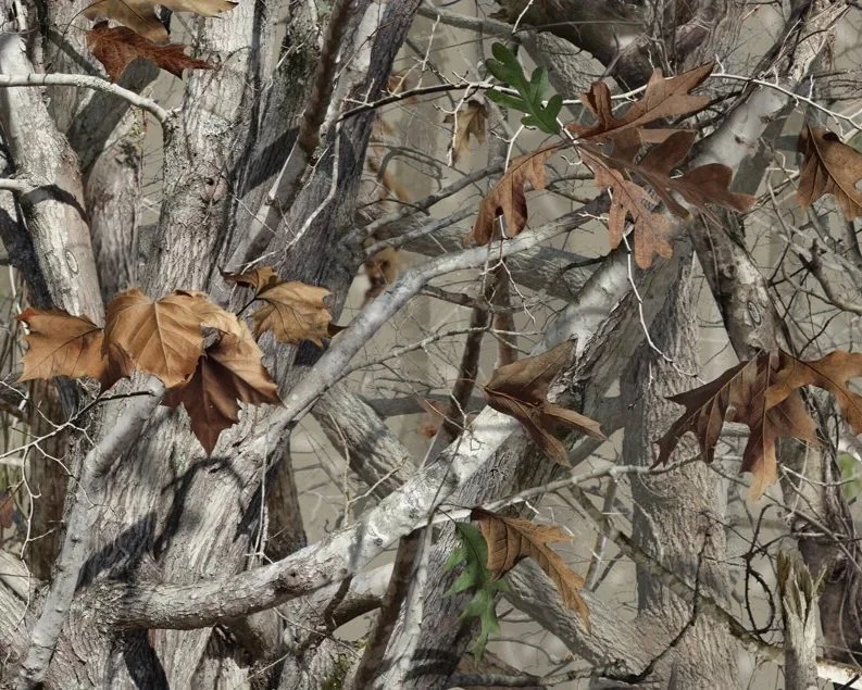 *** NEXT G2 SPECIAL ORDER