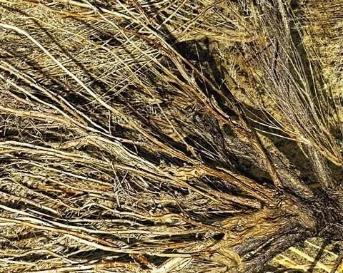 *** MOSSY OAK BRUSH Special Order