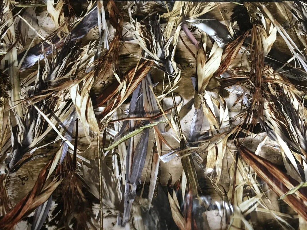 CAMO PATTERNS — Tarjac H2O