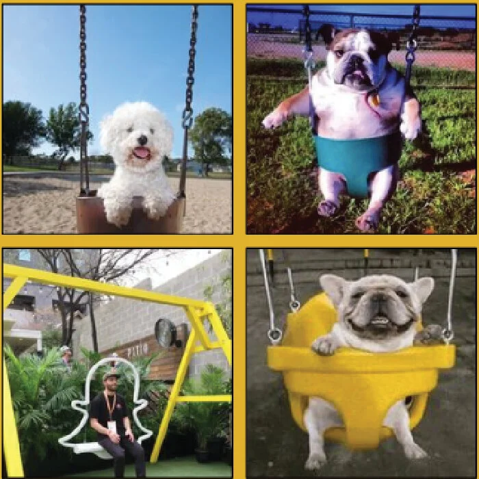 26. Pup, Pup & Away: an artistic swing set with 4 swings adapted for dogs