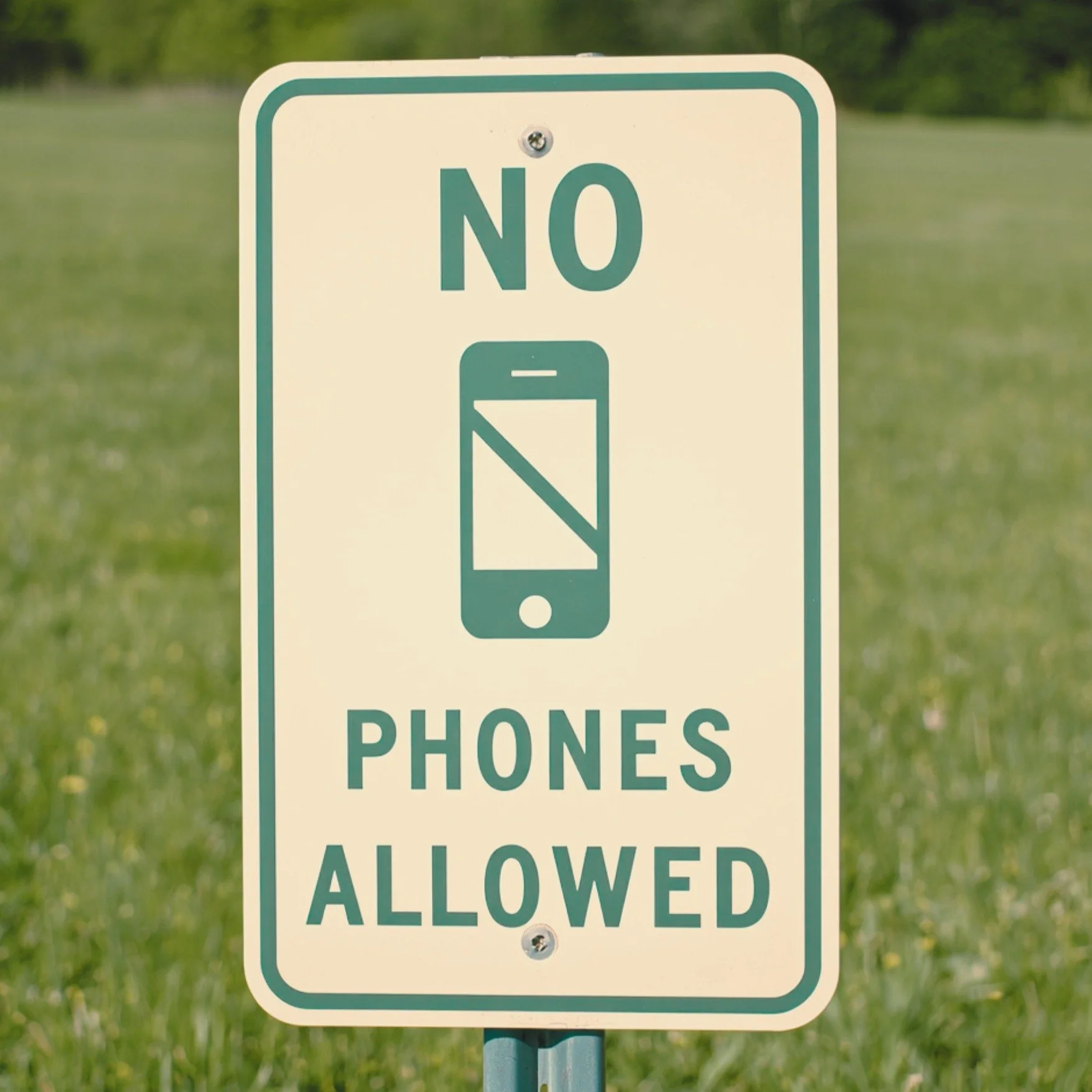 there's a specific kind of day that doesn't exist much anymore.

no notifications. no agenda. just somewhere to be, with someone you love, doing nothing in particular.

that's what we're trying to bring back, for you and your dog.