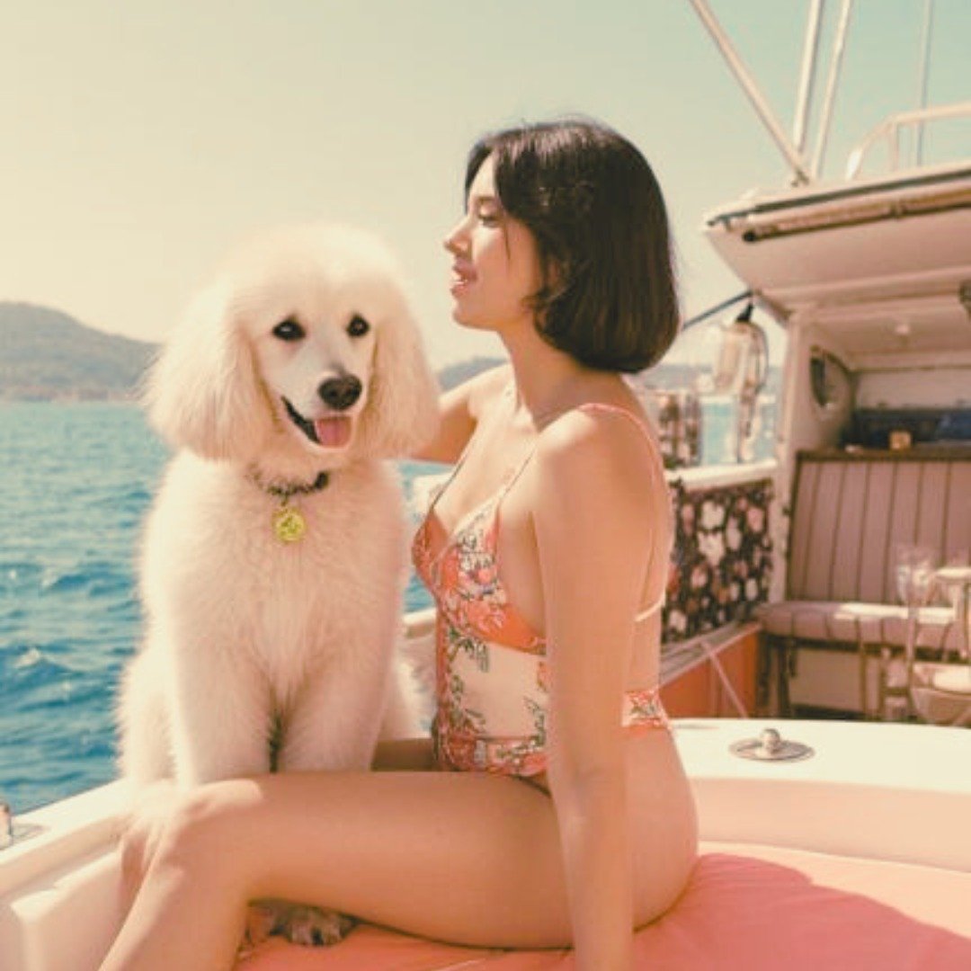 this is the summer 2026 I ordered