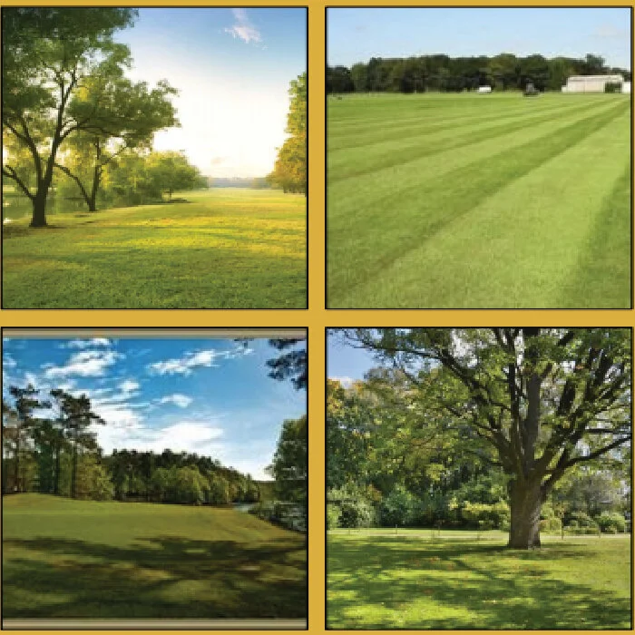 6. Grand Lawn: a sprawling, centralized, manicured lawn
