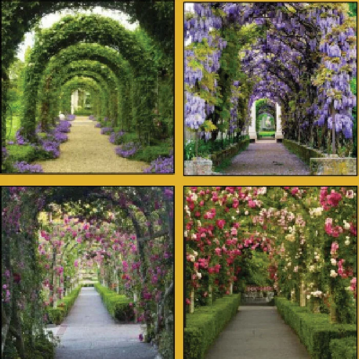 5. Pathway: a pathway of blooming flowers connecting the garden to the Grand Lawn