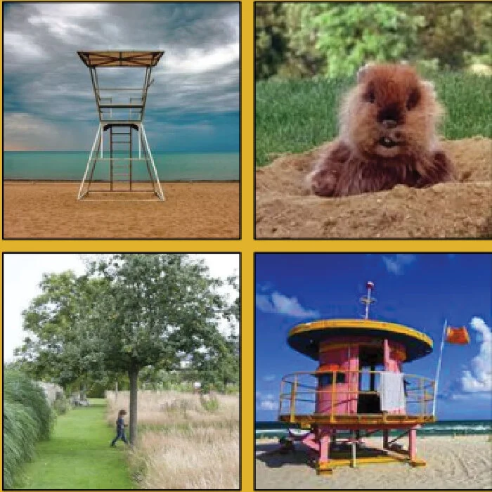 12. Field of Smells: a tall grass field with animatronic animals, noises, and scents for dogs to ’track’
