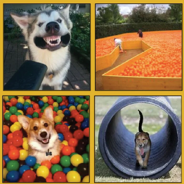 13. Sensory Field: a grass field with a variety of sensory experiences