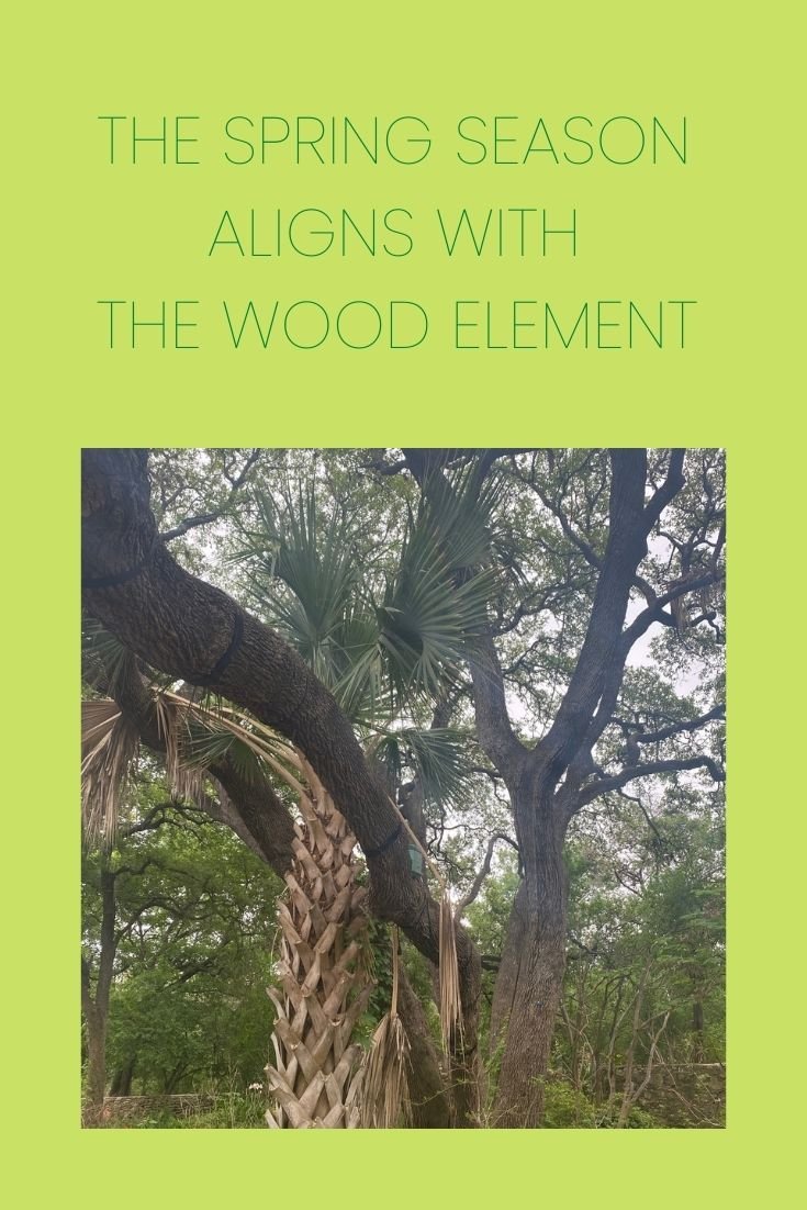 Wood Energy for Spring