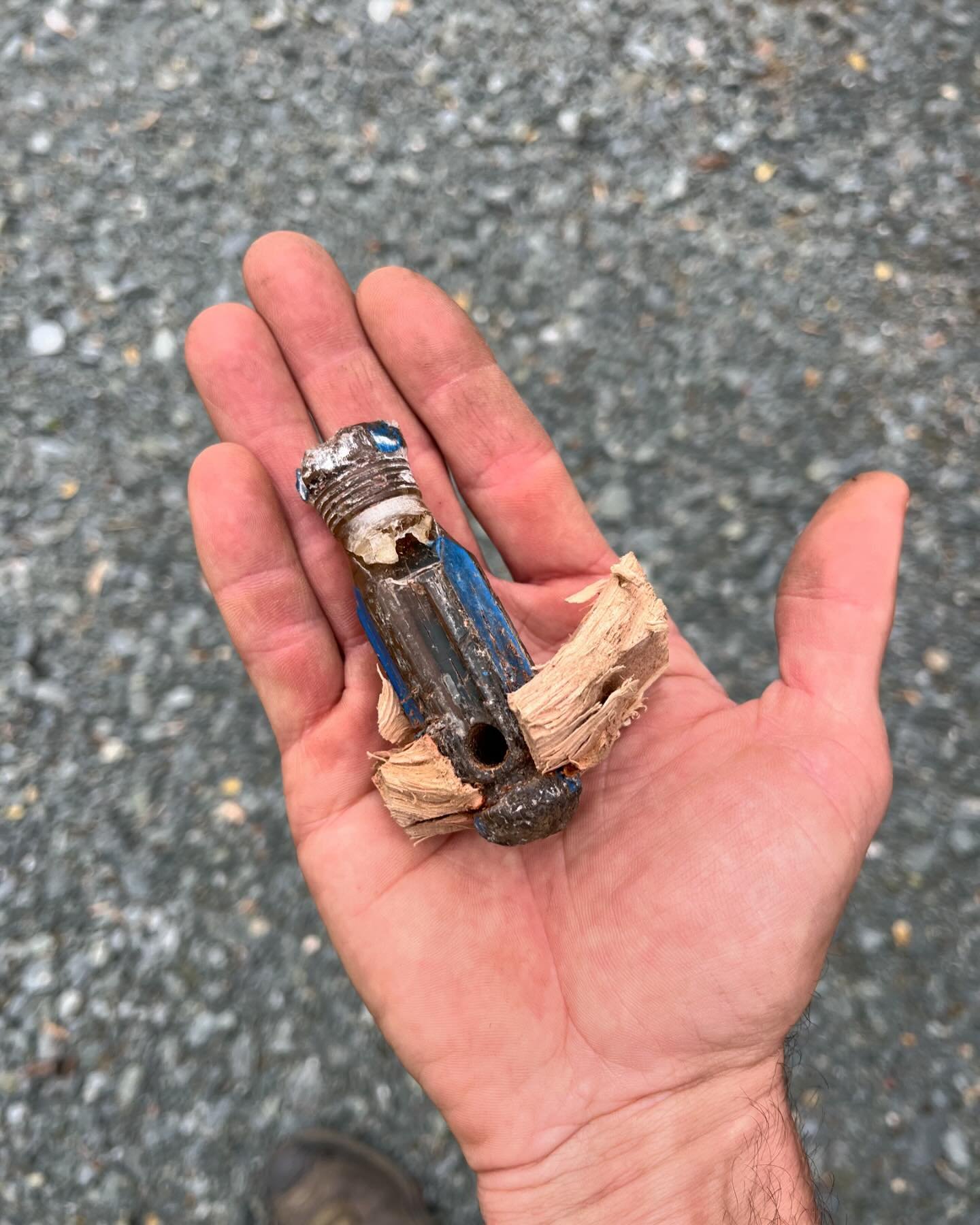 If anyone lost a screw driver, we found it in this elm tree. Or a dog chain wrapped in a garden hose? Or their 5/8&rdquo; chain? All of these items will be on display at our forthcoming roadside attraction (the Museum of the Anthropocene).