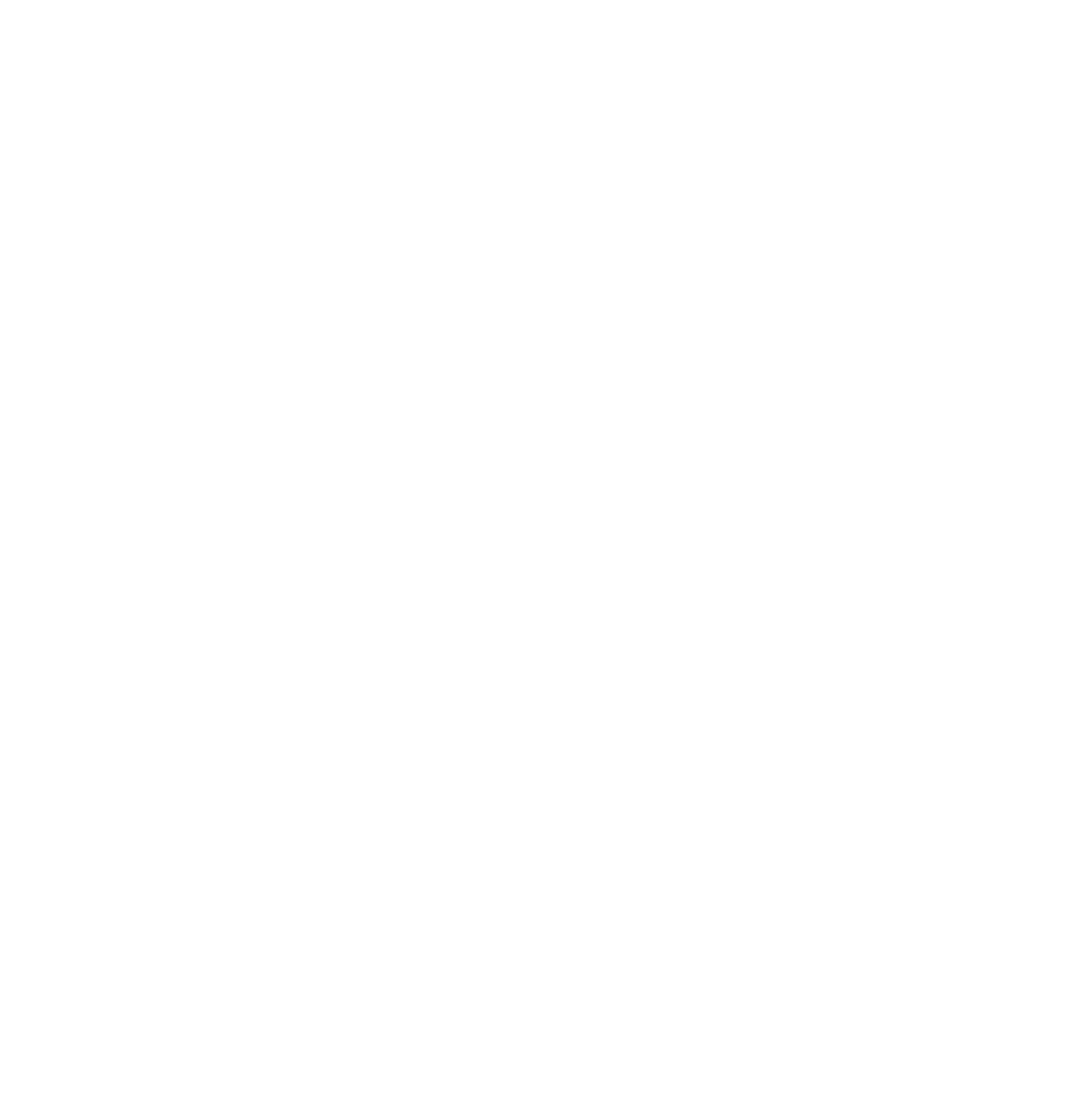 ROBOTO OCTOPODO Logo_Transparent_White_CMYK.png