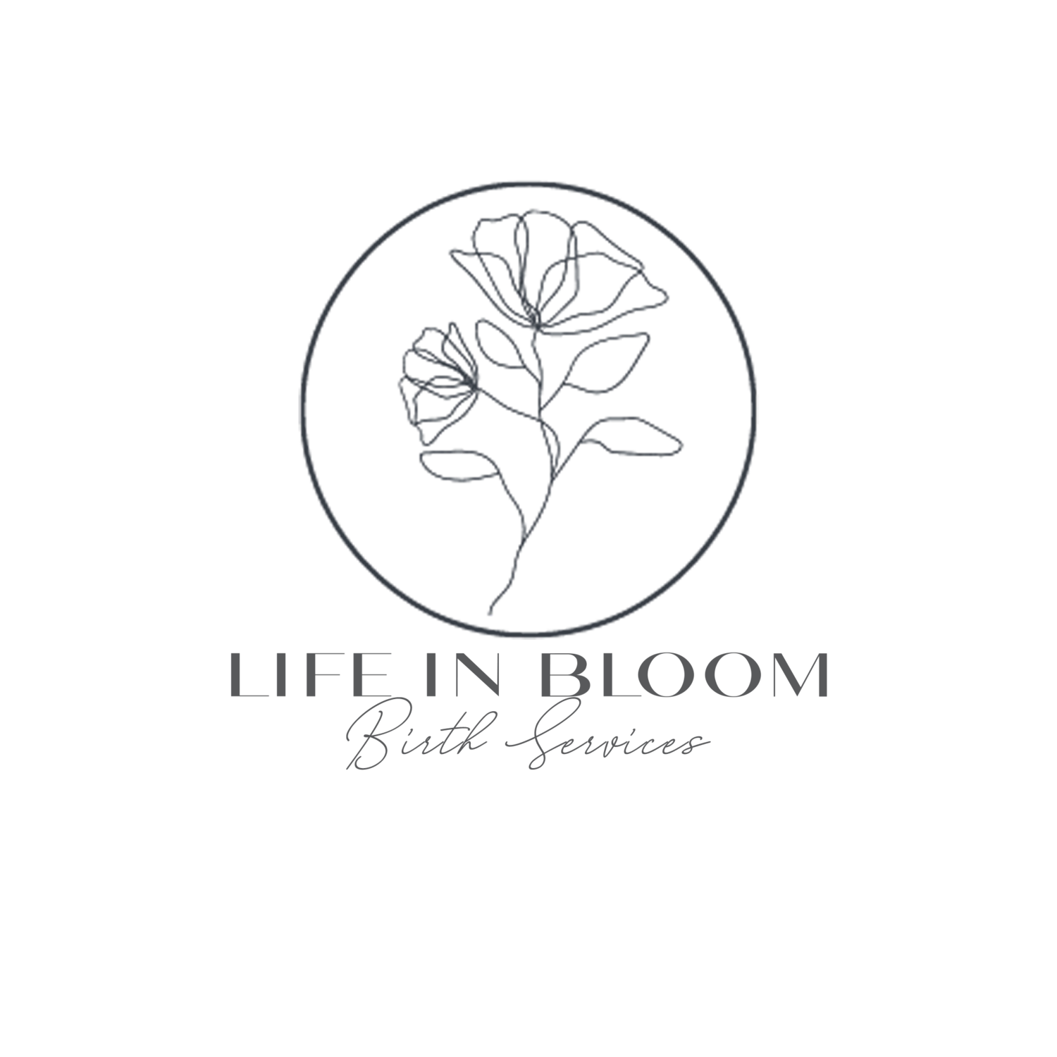 Life In Bloom Birth Services 