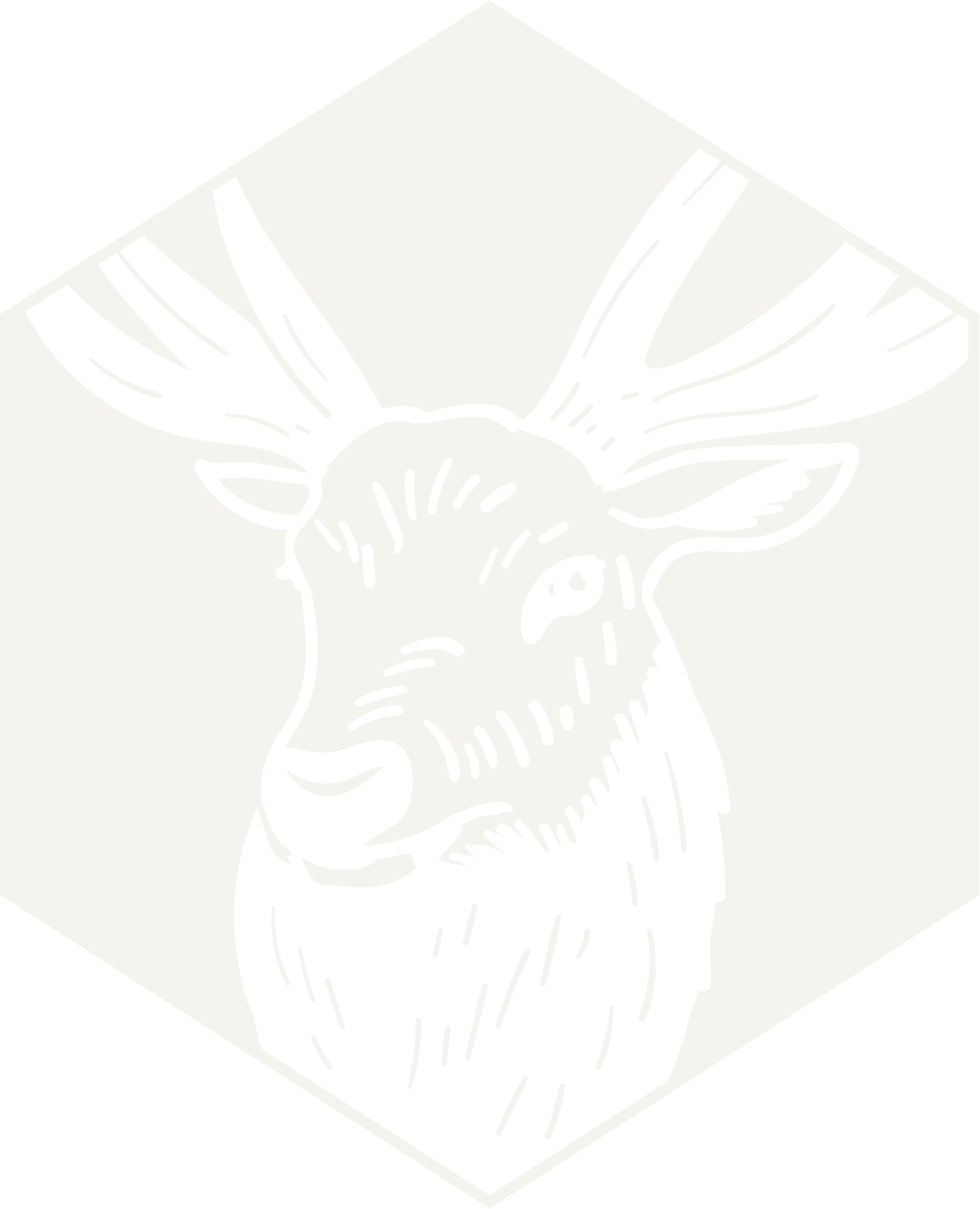 Elk