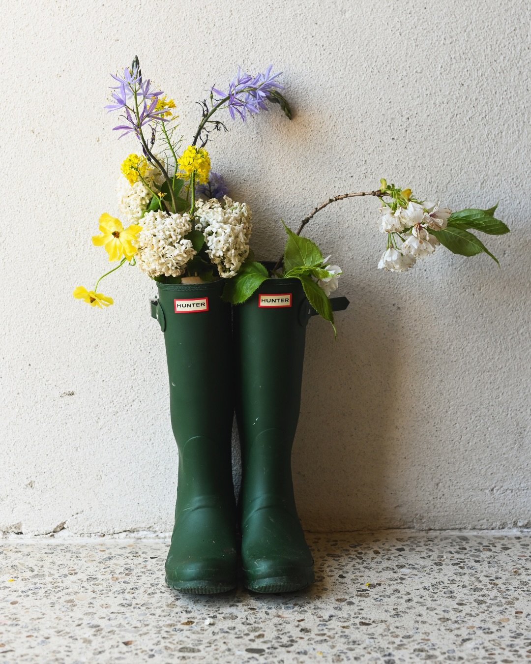 Tinode.

@tinodefarmyard 📷
@juneblakesgarden 🌻