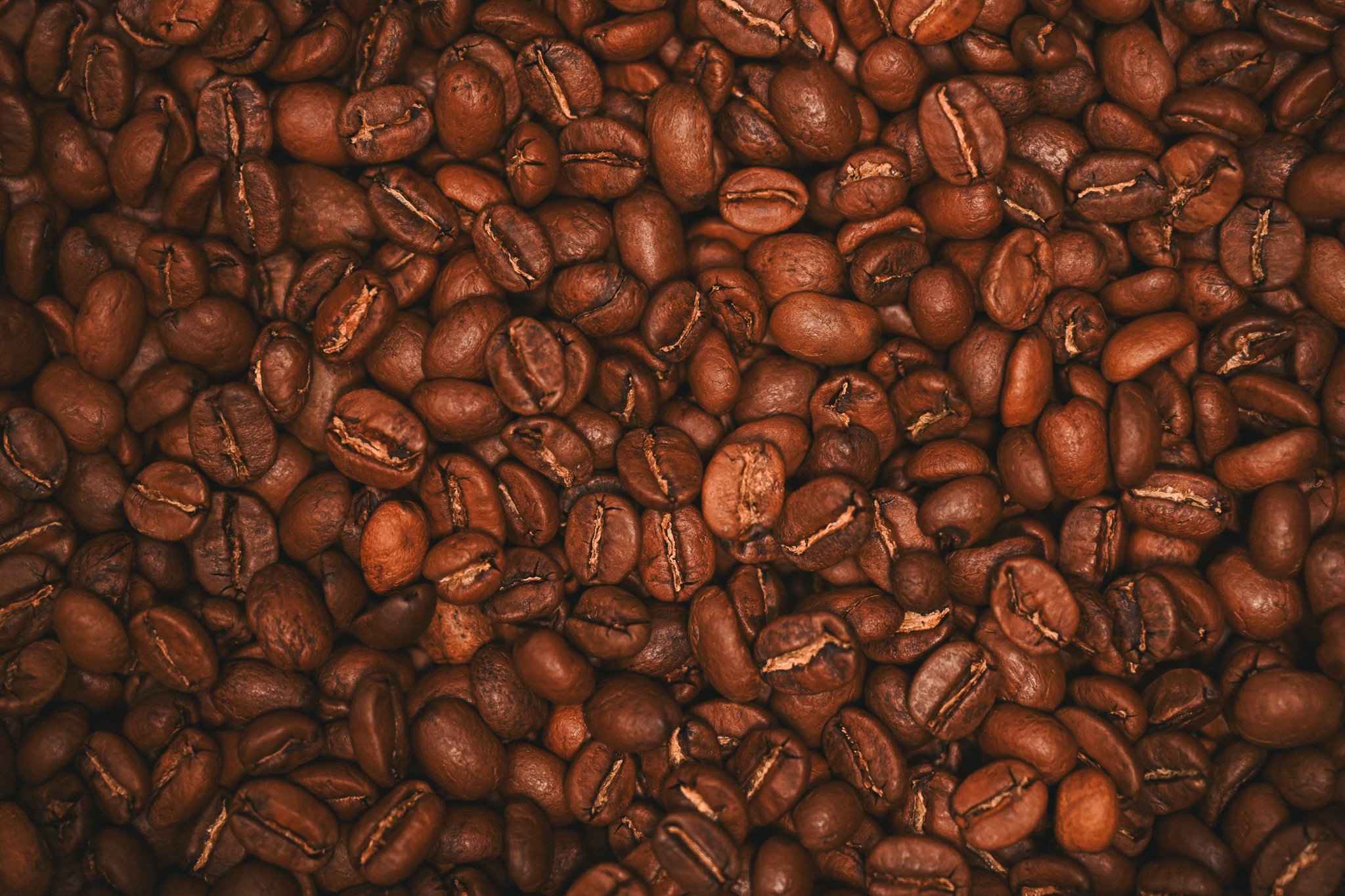 BREW21-July-2026-SML-146.jpg