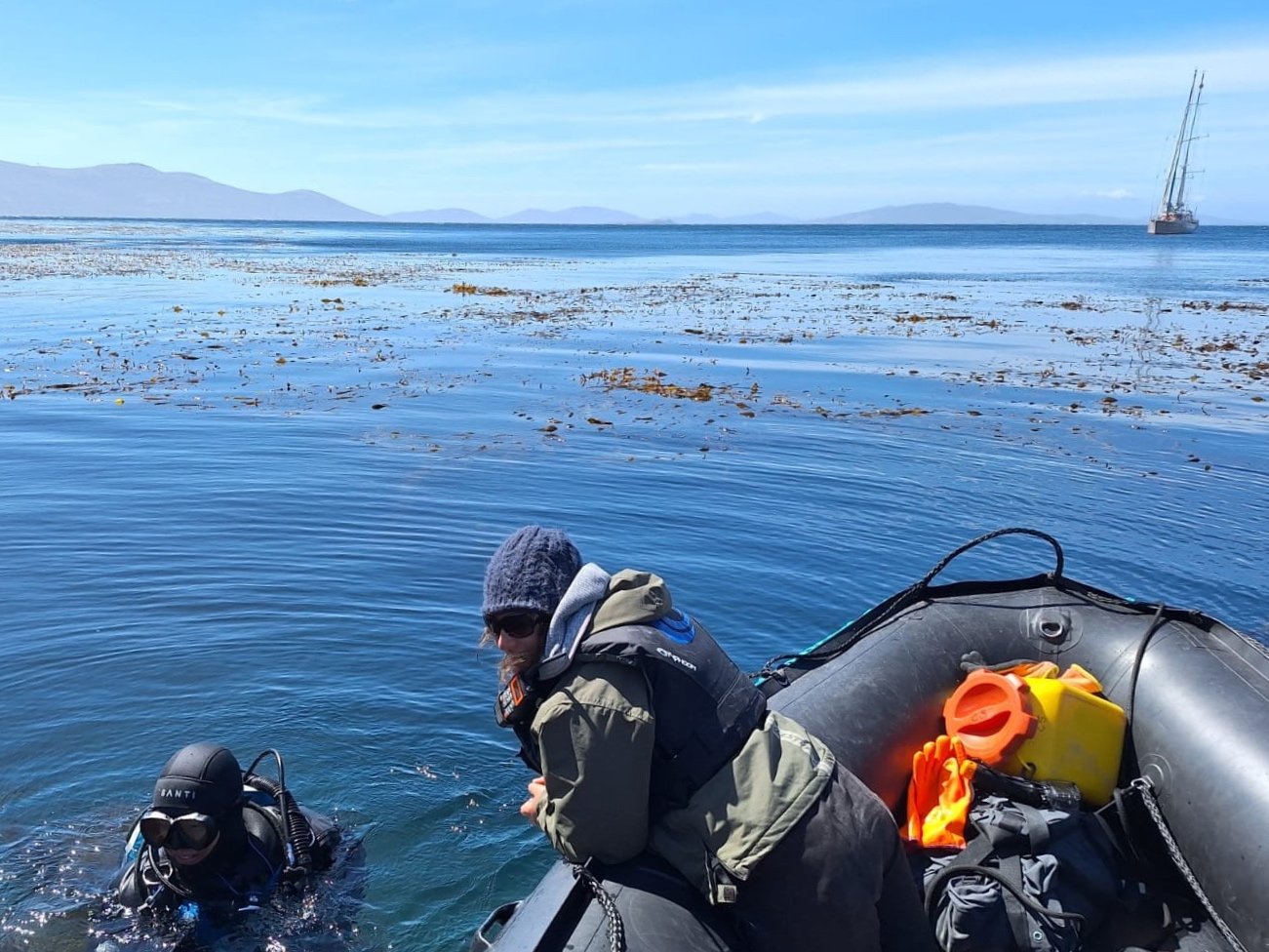 Falklands Diving expedition (II) — Vinson of Antarctica & Amundsen