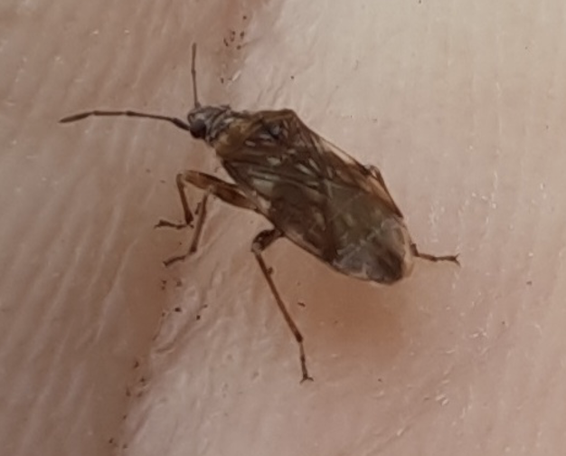 Captura de pantalla 2026-01-19 a las 13.18.04.png