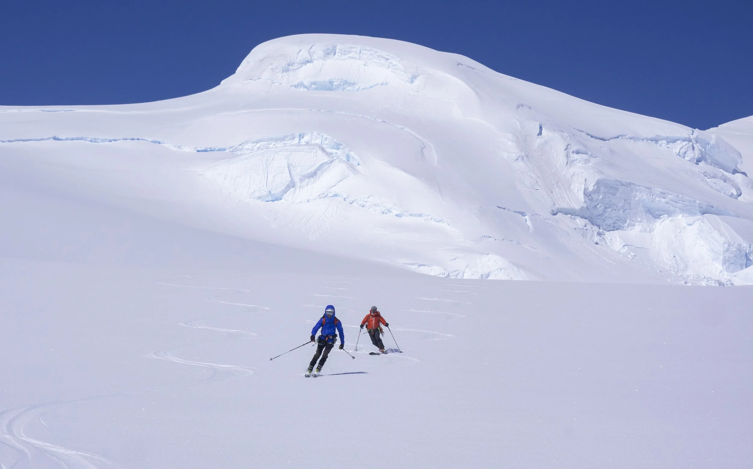 Five Days on Anvers Island