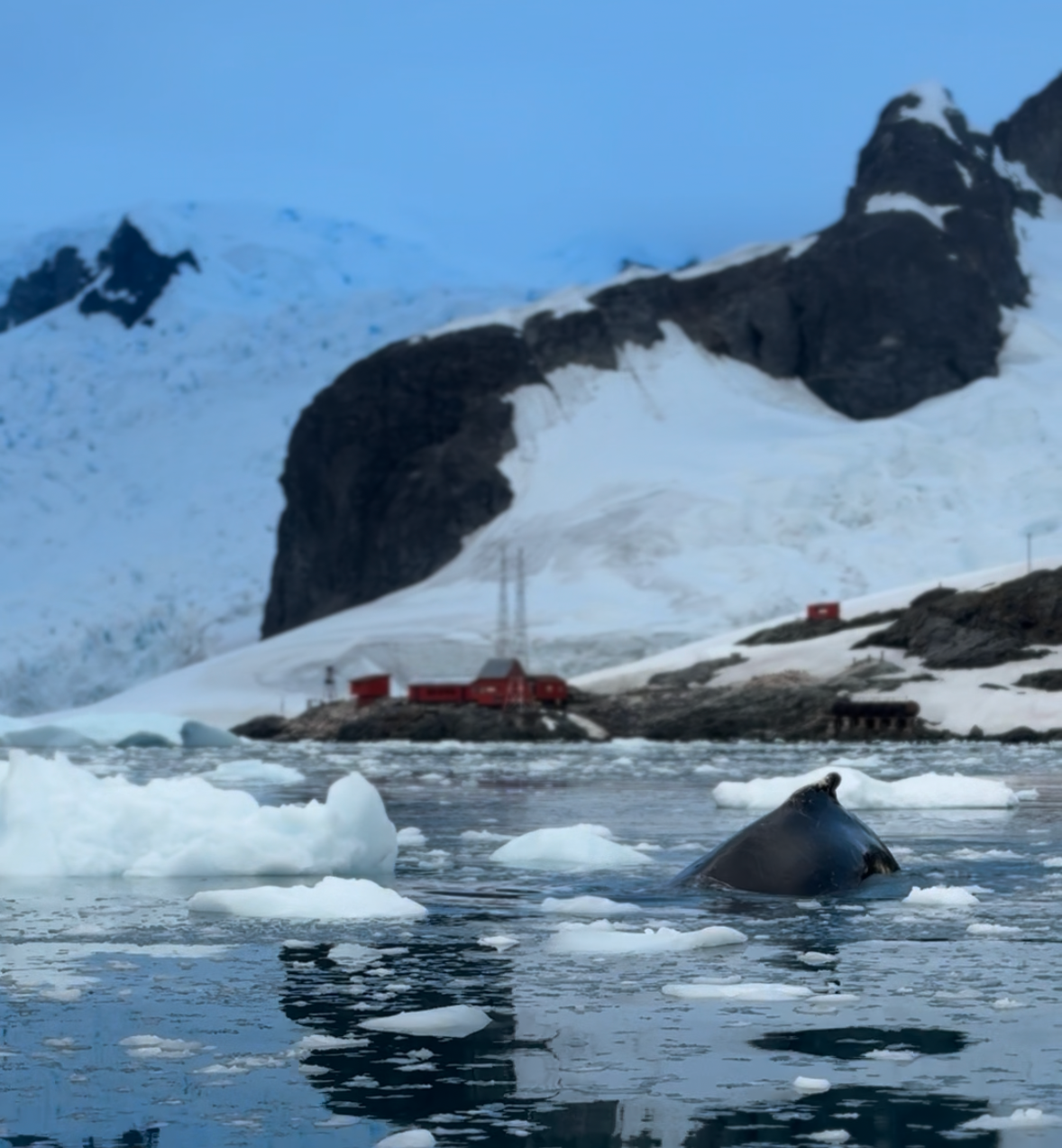 In The Company Of Giants