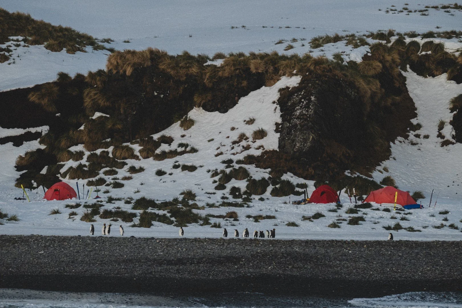 Shackleton Traverse 22’. After the traverse. — Vinson of Antarctica ...