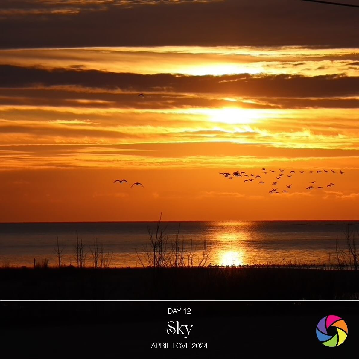 12. Sky

Living by a bird sanctuary - Chantry Island, just off the shore - I&rsquo;m becoming accustomed to seeing many birds flying high in the sky. Sometimes silent, more often, they make a cacophony of sounds that can&rsquo;t be ignored. 

#APRILL