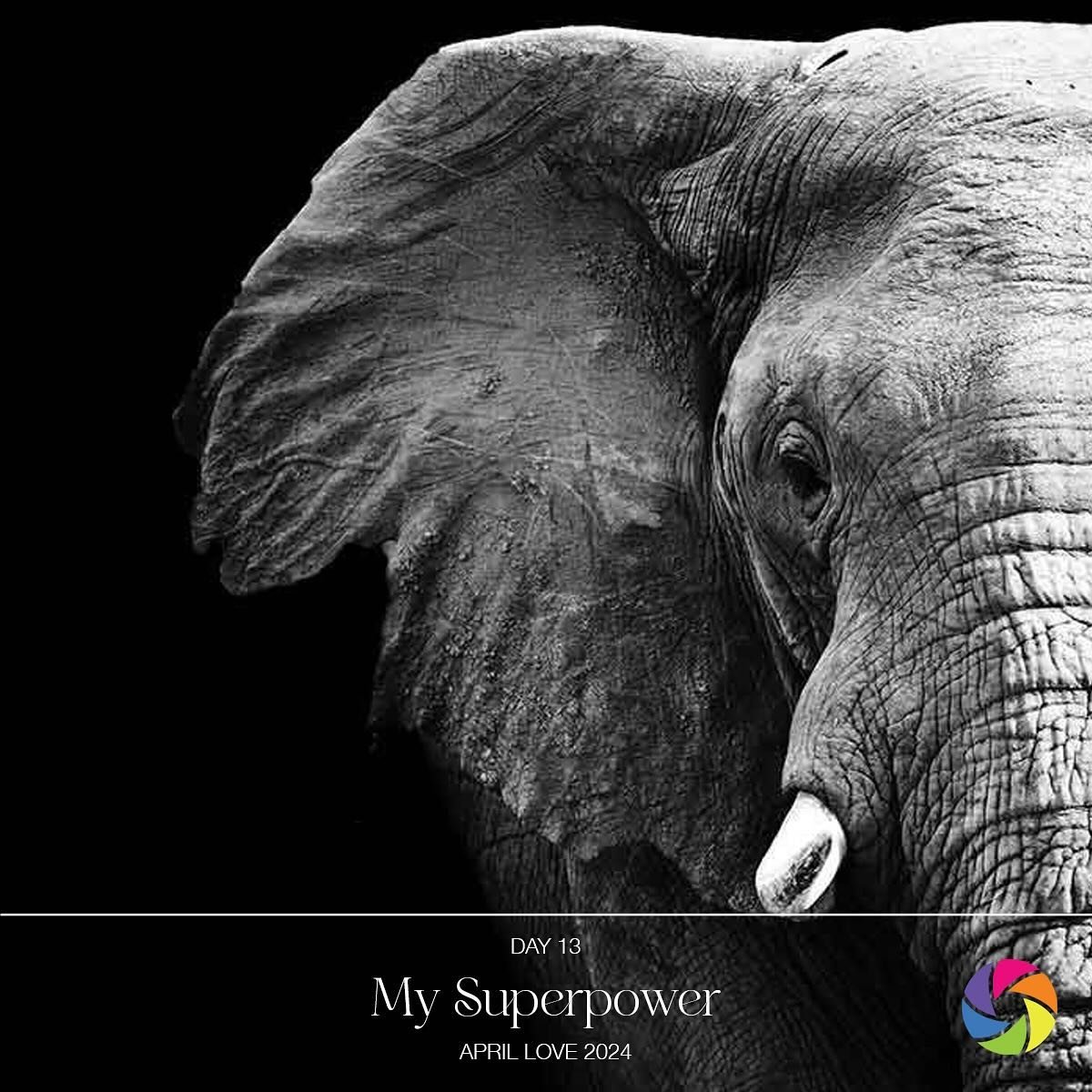 13. My Superpower

Identifying the elephant in the room: I give it a name and then invite it to tea. If an uncomfortable situation is important enough to me, I&rsquo;ll confront it to change or at the least understand it. No one likes confrontation, 