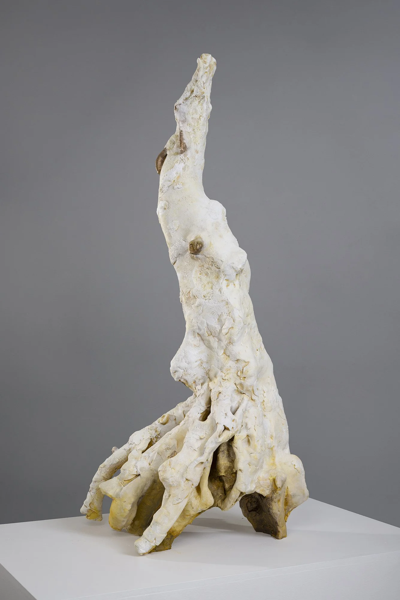 Adaptation (adventitious), ceramic, paint, epoxy, 43 x 18 x 14.5 inches, 2026