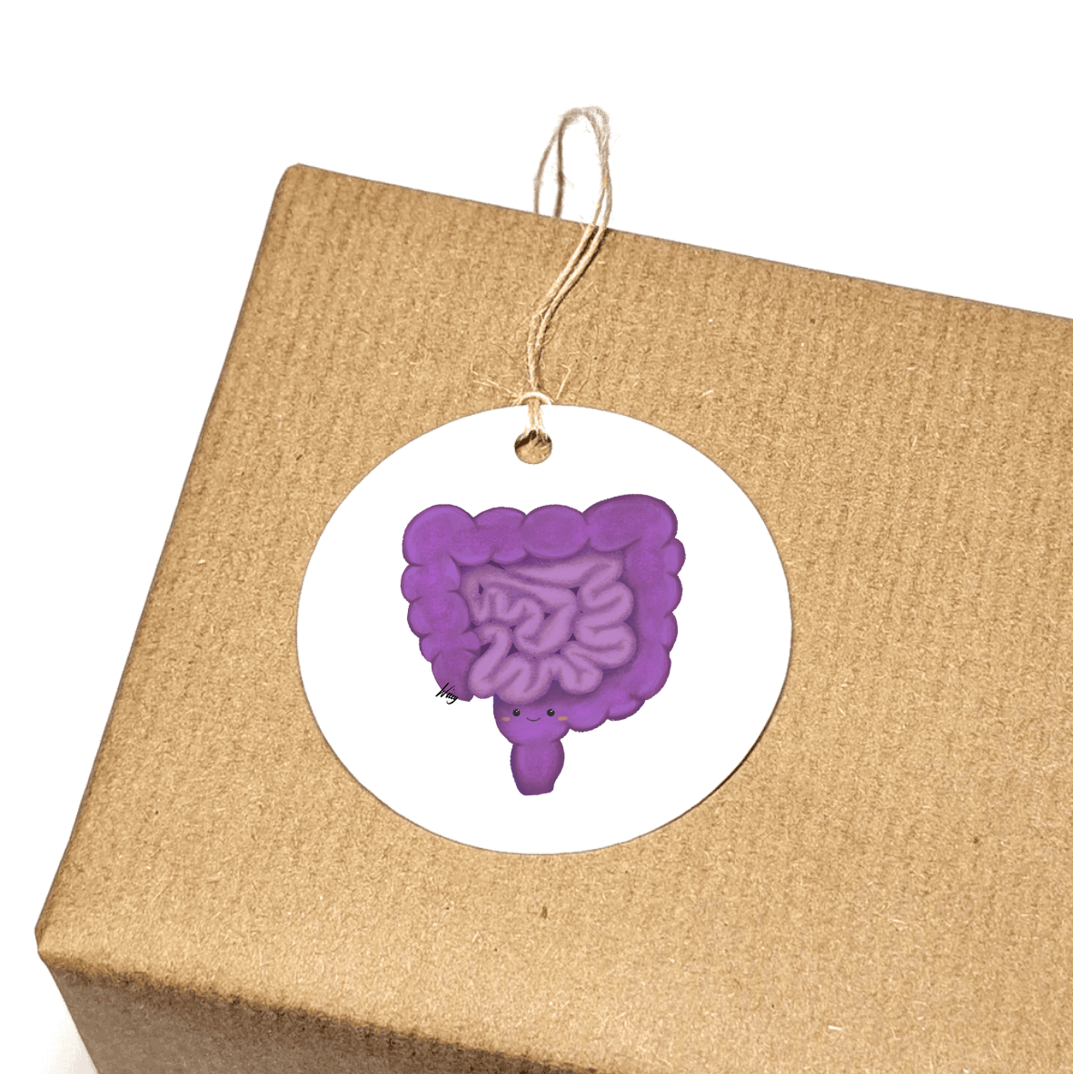 Set of 3 Gift Tags - Gus The Guts