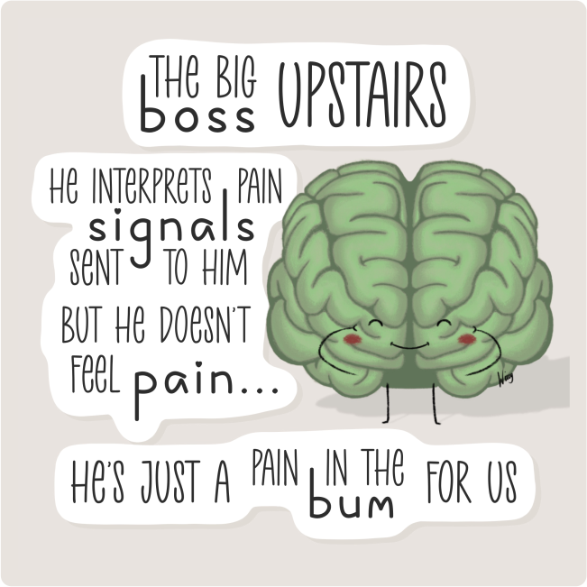 Cartoon illustration of a green brain with a happy face and red cheeks, surrounded by playful text describing it as the "big boss upstairs" that interprets pain signals sent to it but doesn't feel pain itself, comparing pain to a bump for us.