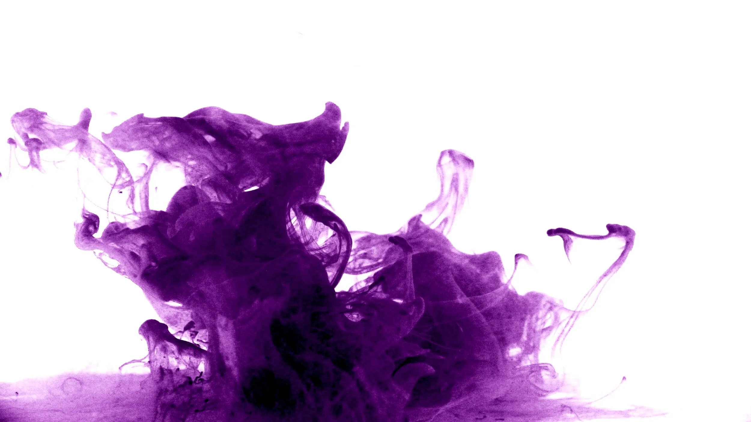 Purple ink dispersing in water against a white background.