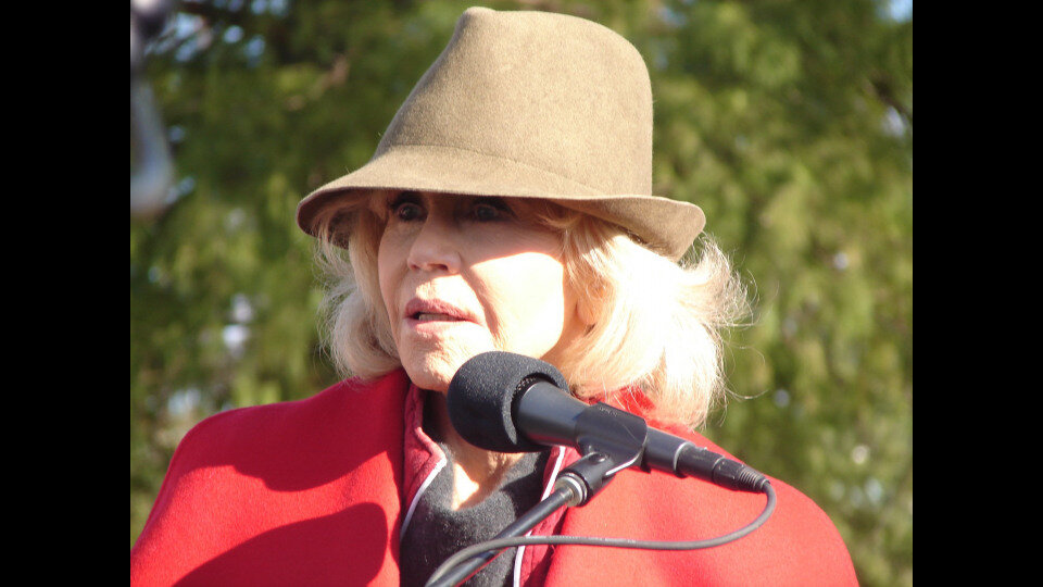 Jane Fonda held a protest every week demanding action to address the affects of climate change.