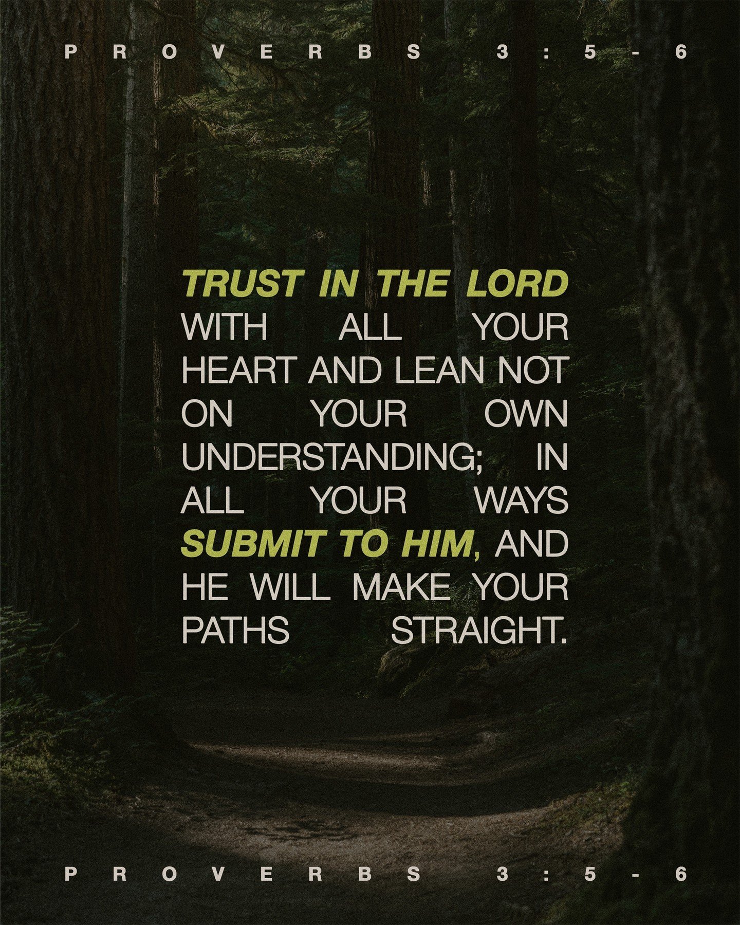 &quot;Trust in the Lord with all your heart and lean not on your own understanding; in all your ways submit to him, and he will make your paths straight.&quot; - Proverbs 3:5-6
.
.
.
#church #god #morning #jesus #christ #love #christian #worship #bib