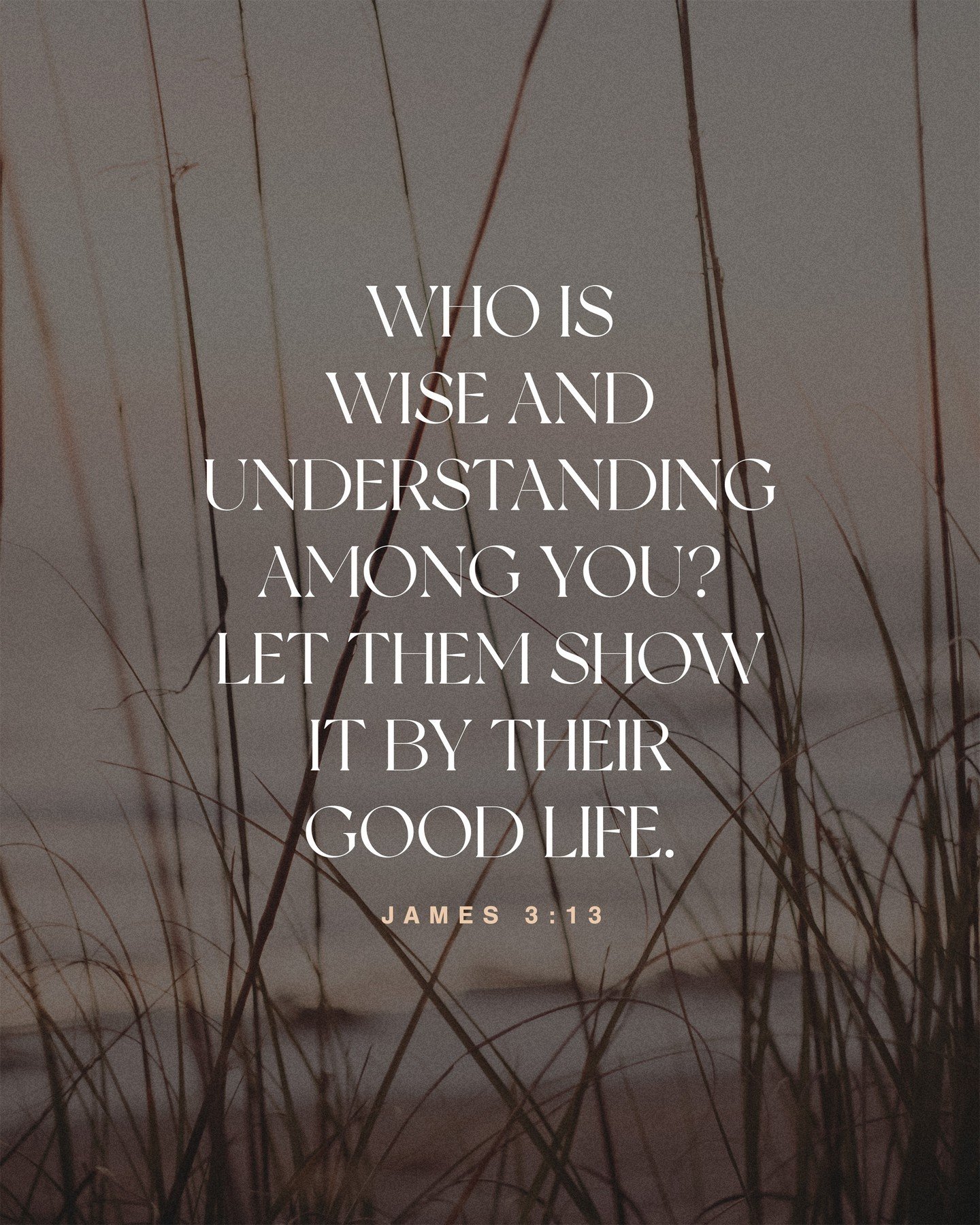 &quot;Who is wise and understanding among you? Let them show it by their good life.&quot; - James 3:13
.
.
.
#church #god #morning #jesus #christ #love #christian #worship #bible #james
