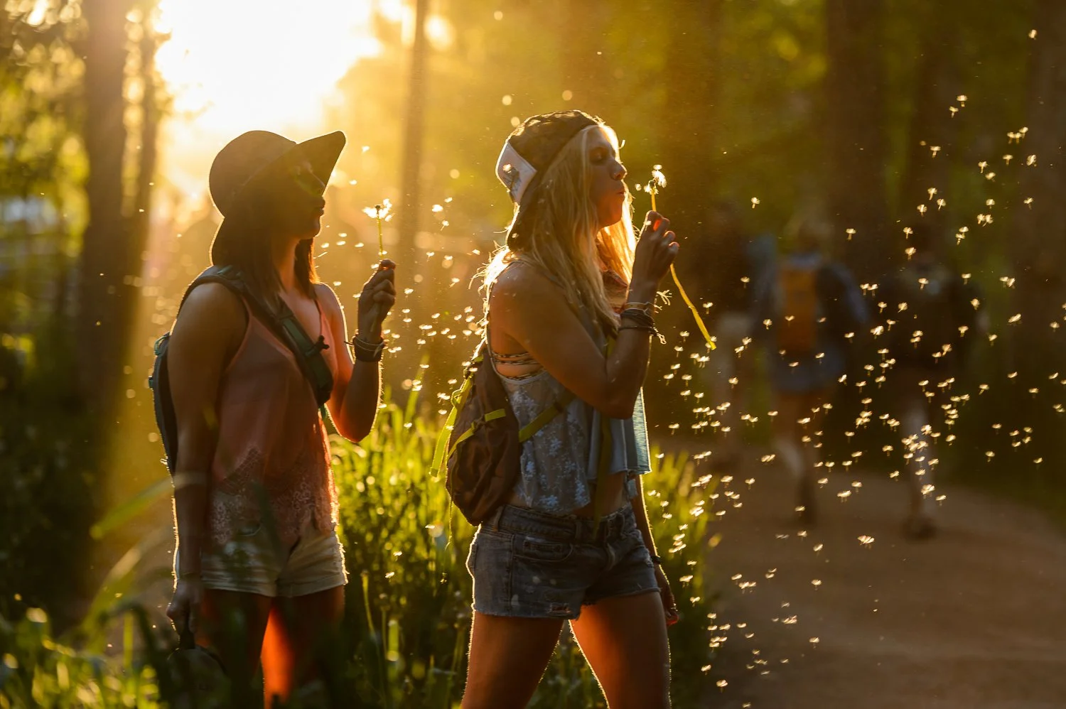 Photo of the Kelty Gunnison Collection by Fred Marmaster