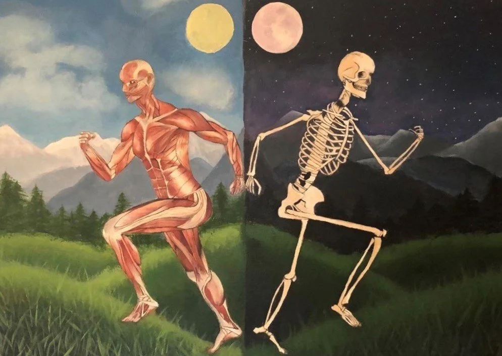 Anatomy Runner.JPG