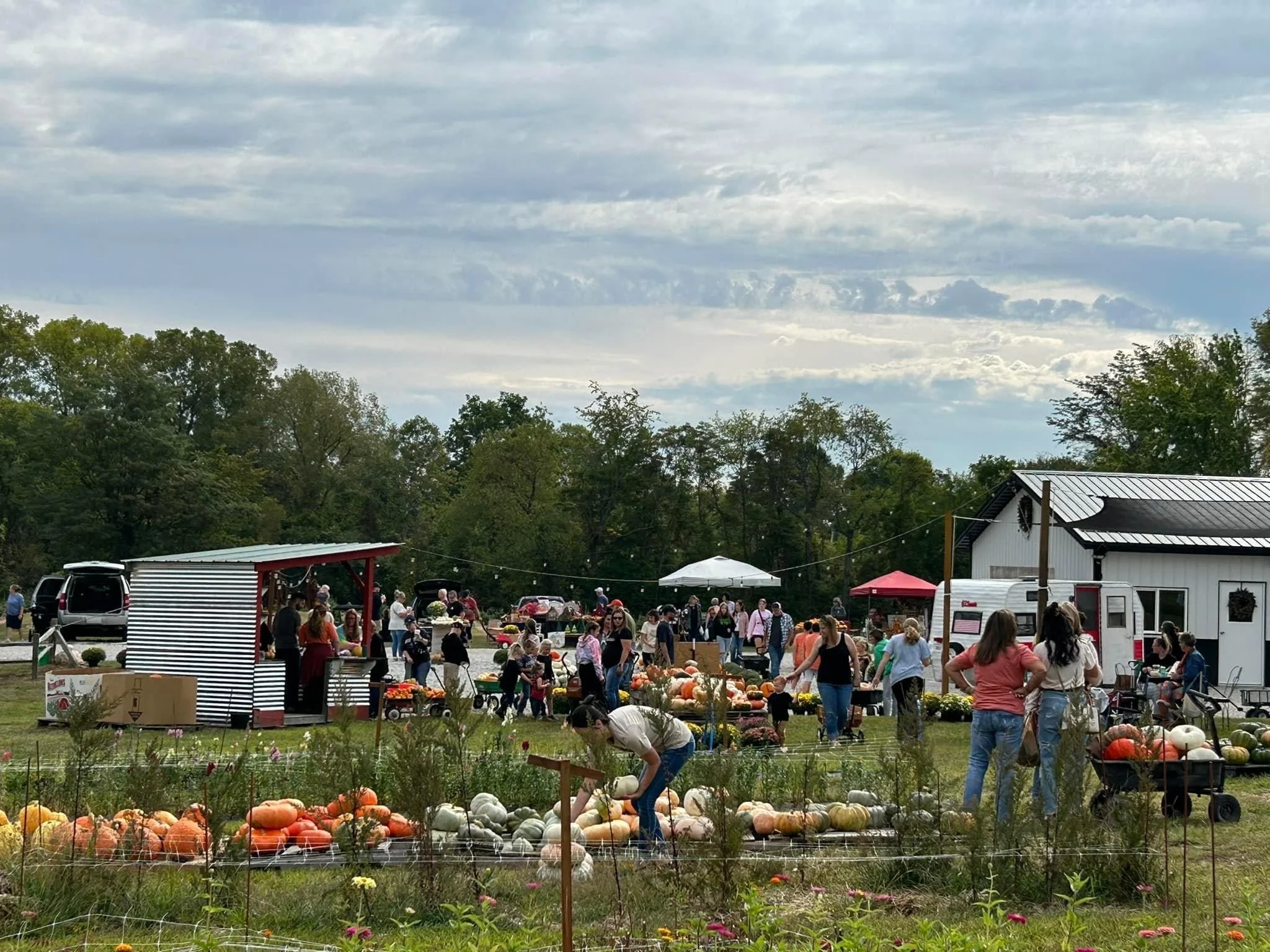 Pumpkin Harvest Market
