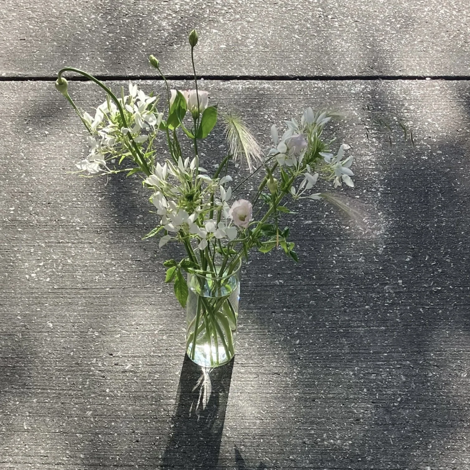 6449F967-2B0B-4AF1-A6EE-D799A831B93C.jpeg