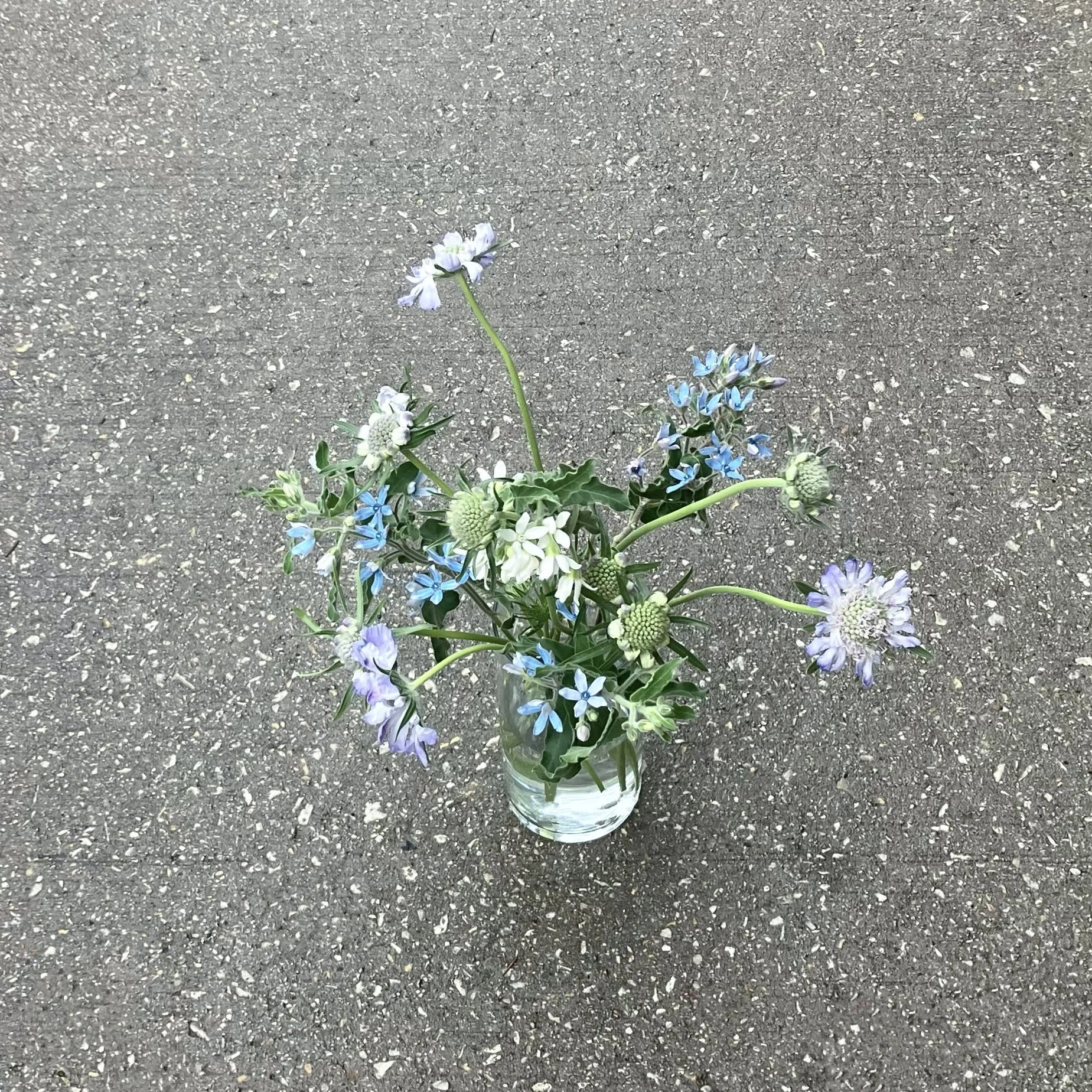 A0DE5A30-029E-4AEF-8F1D-3B42111F53A0.jpeg