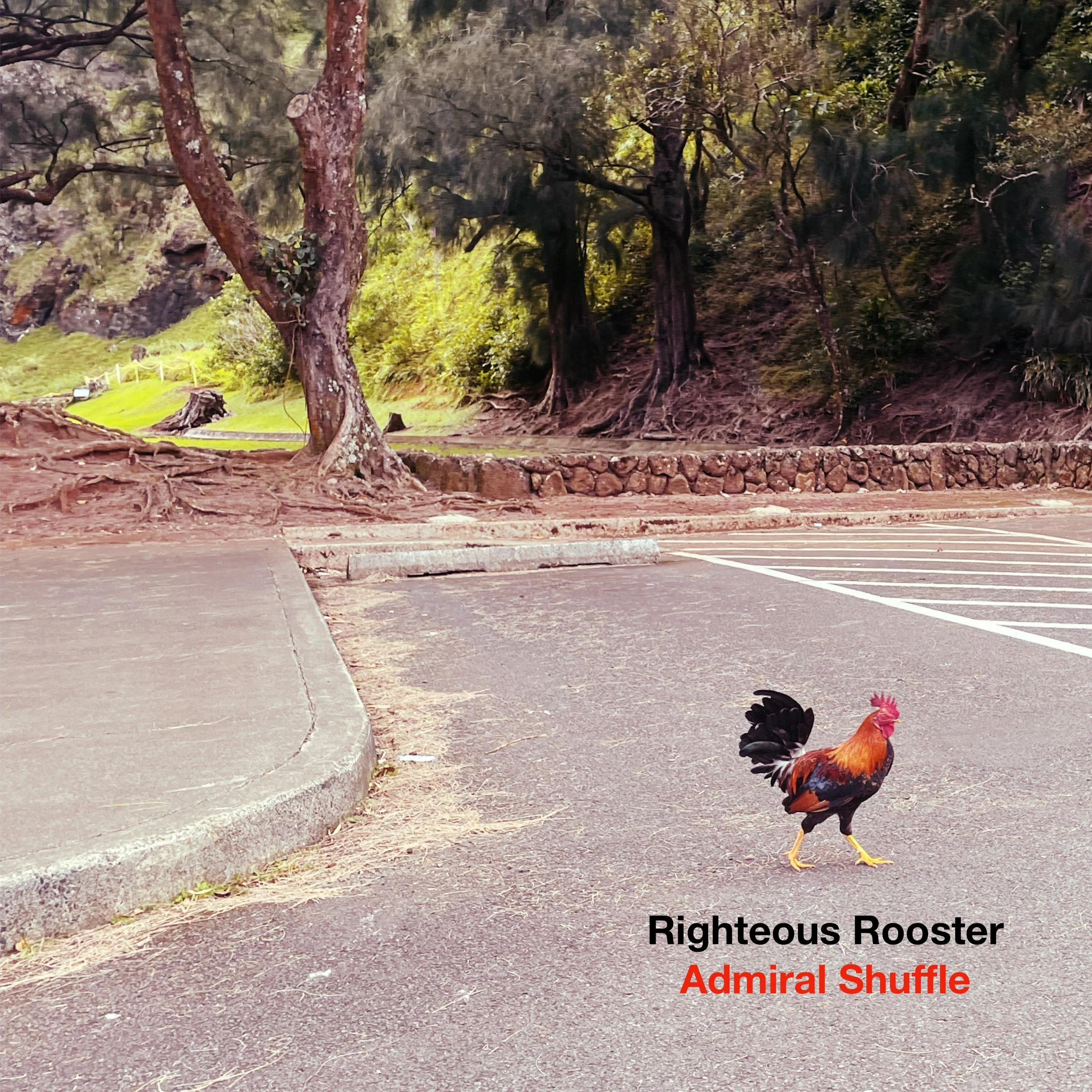 Righteous Rooster – Admiral Shuffle single cover