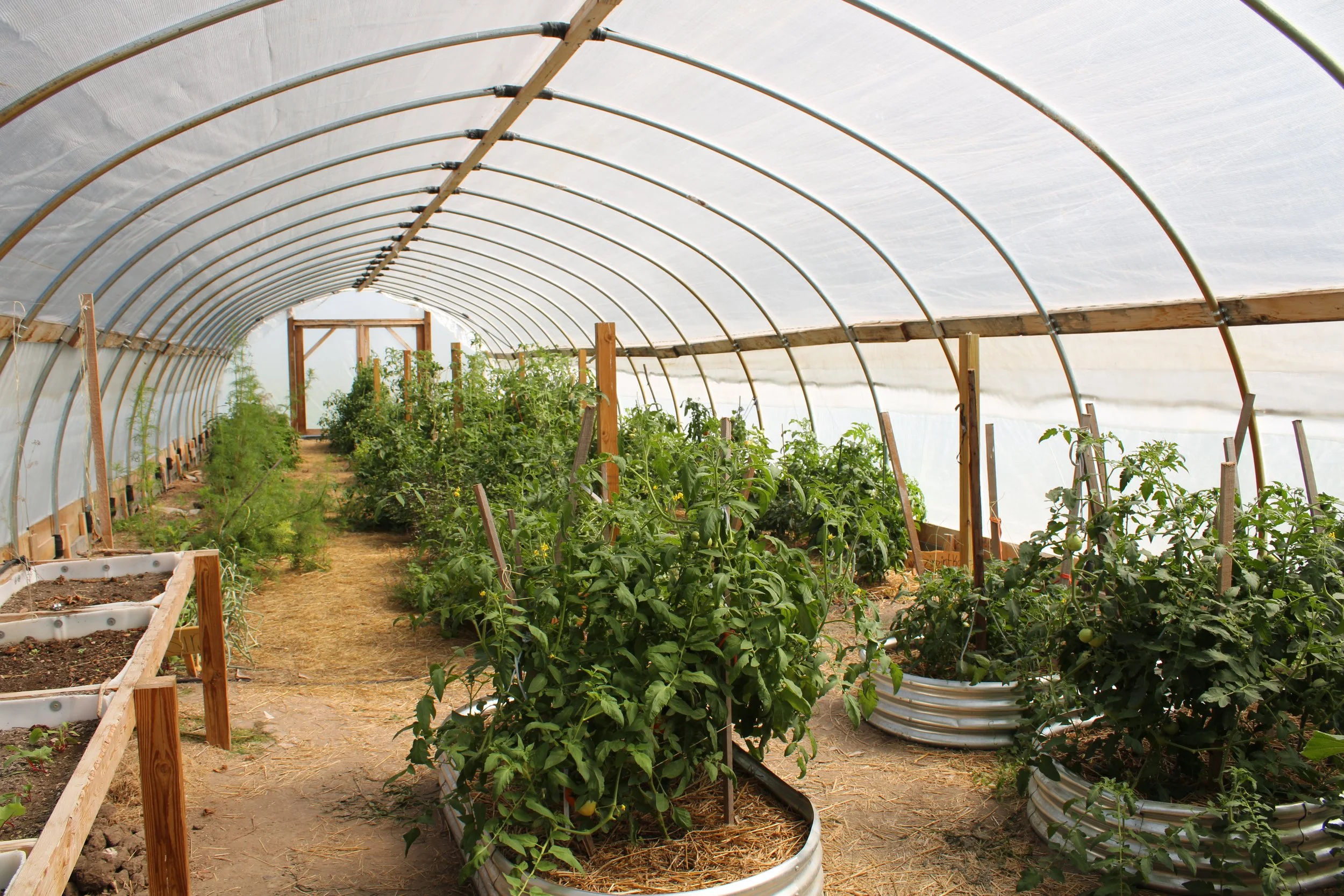 Growing Tuesday - Offer Your Support | Re-Member