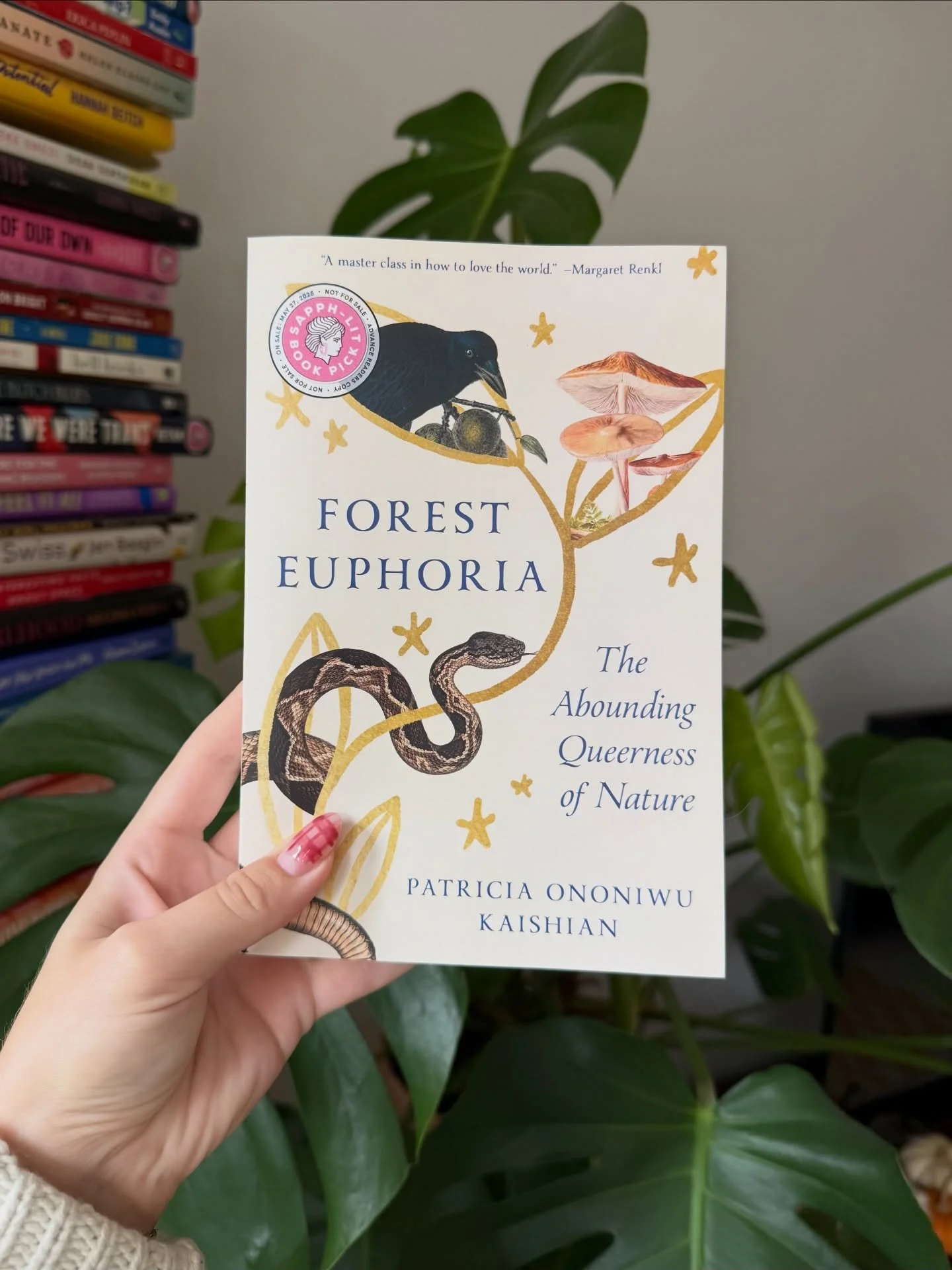 Have you read our November pick already? 🌈💖✨ Share your thoughts in the comments below! xx