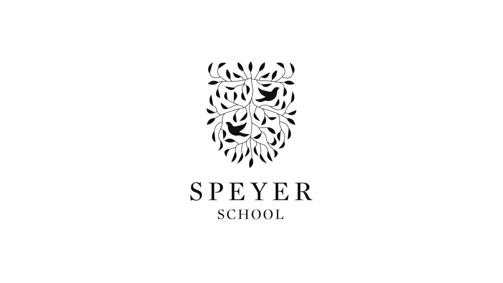 WHAT IS SPEYER?
