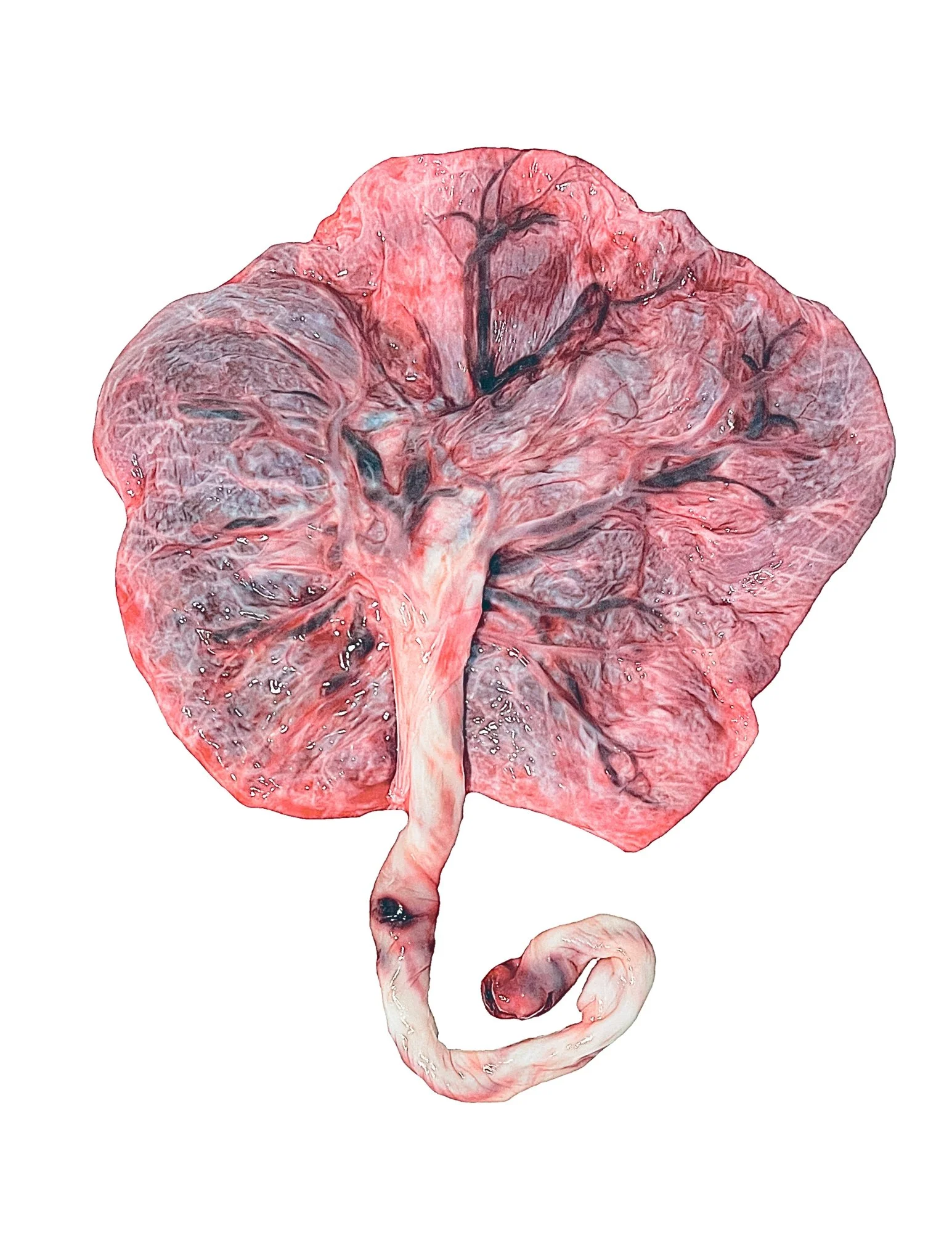 Theresa Walsh 5.20.24.jpg