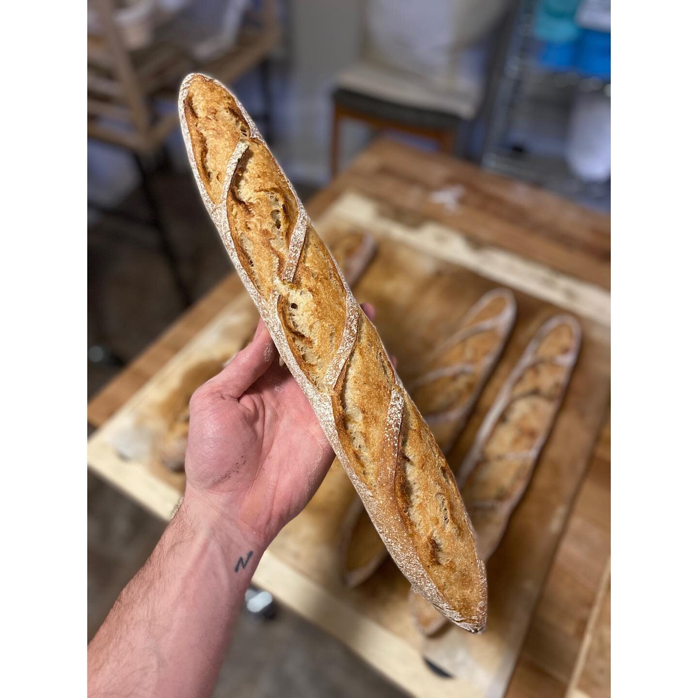 Turkey Red Wild Yeast Baguettes are back this week along with Jalape&ntilde;o Cheddar Loaves, Chocolate &amp; Nutella Babka, and Scout 66 County Loaves. Pickup Thursday and Saturday. Visit link in bio to order!
