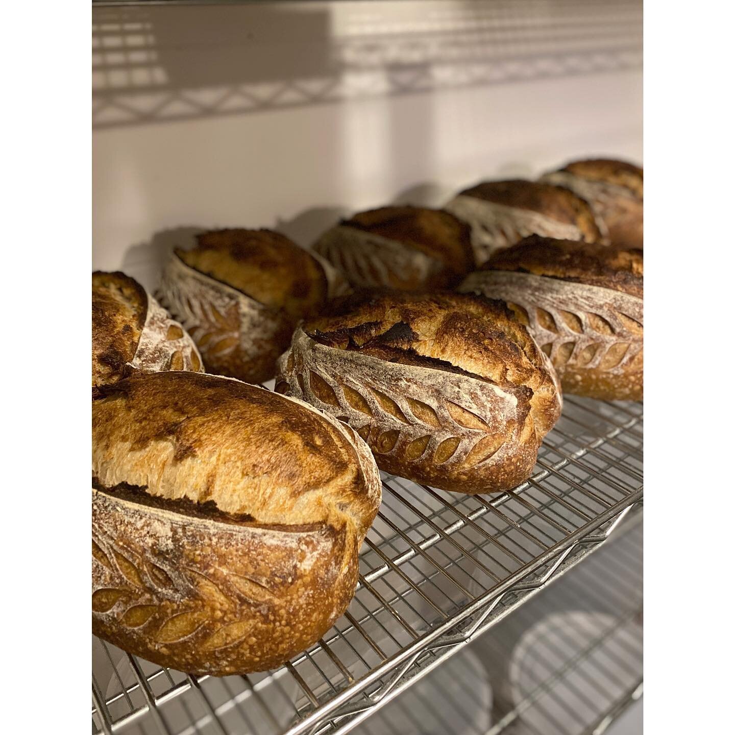 Lots of options this week like these Whole Wheat Country loaves, Olive &amp; Herb loaves, more Turkey Red Baguettes and Sesame Semolina Epi Baguettes&hellip; oh yeah and let&rsquo;s make some Birdbrain loaves and some Sesame &amp;  Poppy Whole Wheat 