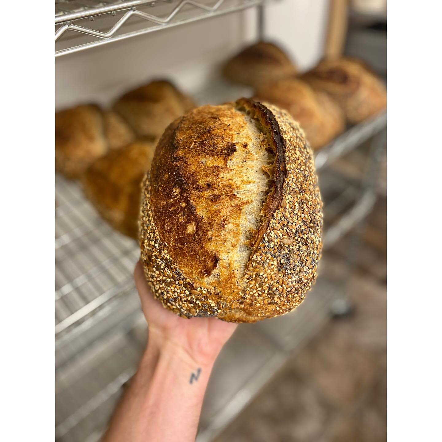 The birdbrain was voted Best Bread at the inaugural Denver Bake Fest yesterday and now you can get yours this week! Big thanks to @byron__edwards for helping to hand out bread, to @rebelbreaddenver for putting on an awesome event, @persistpublicity f