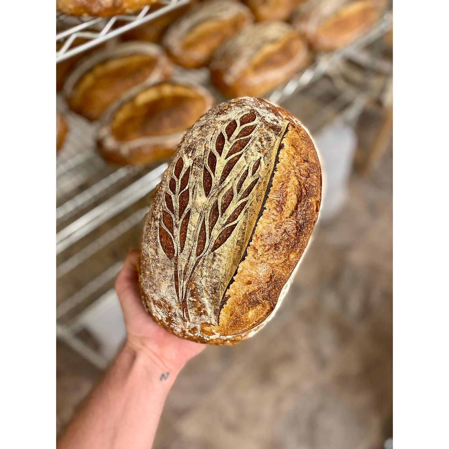 Get prepped for Labor Day this week with Country Loaves with a mix of Winter Langin &amp; Yecora Rojo flours  from @dry_storage as well as Rouge de Bordeaux Baguettes and Roasted Garlic, Cheddar &amp; Herbs loaves. Link in bio