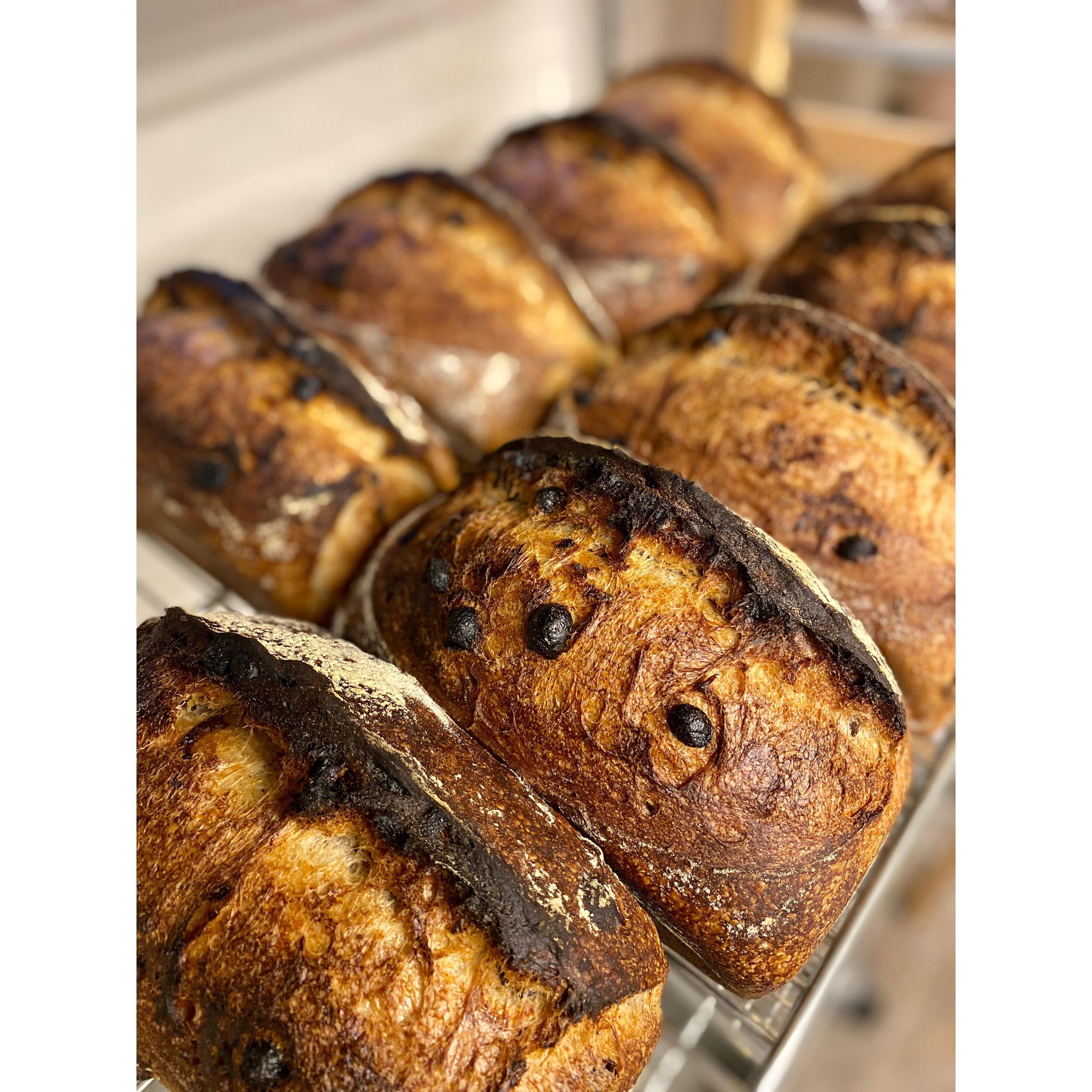 Bread is live for this week with options like Cinnamon Raisin Tin whose raisins are soaked in Triple Sec before mixing (pictured), Sesame Semolina Epi&rsquo;s, Babka and more. As always, all naturally leavened with our wild yeast sourdough starter, C
