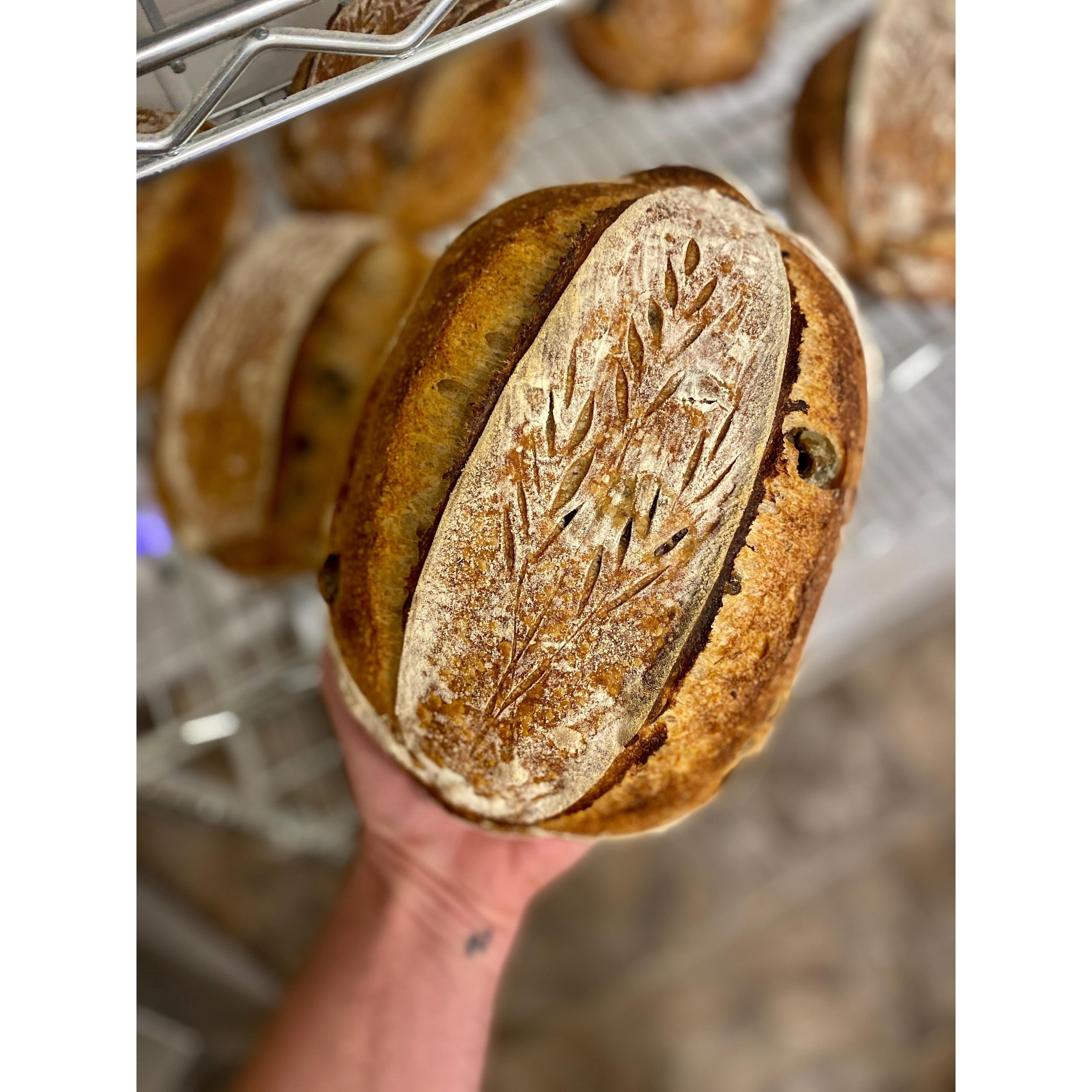 Olive &amp; Herb is back this week along with Roasted Garlic, Cheddar Herb, Rye Country, Babka and Turkey Red Baguettes. All naturally leavened :) Order at link in bio [sprucehousebread.com]