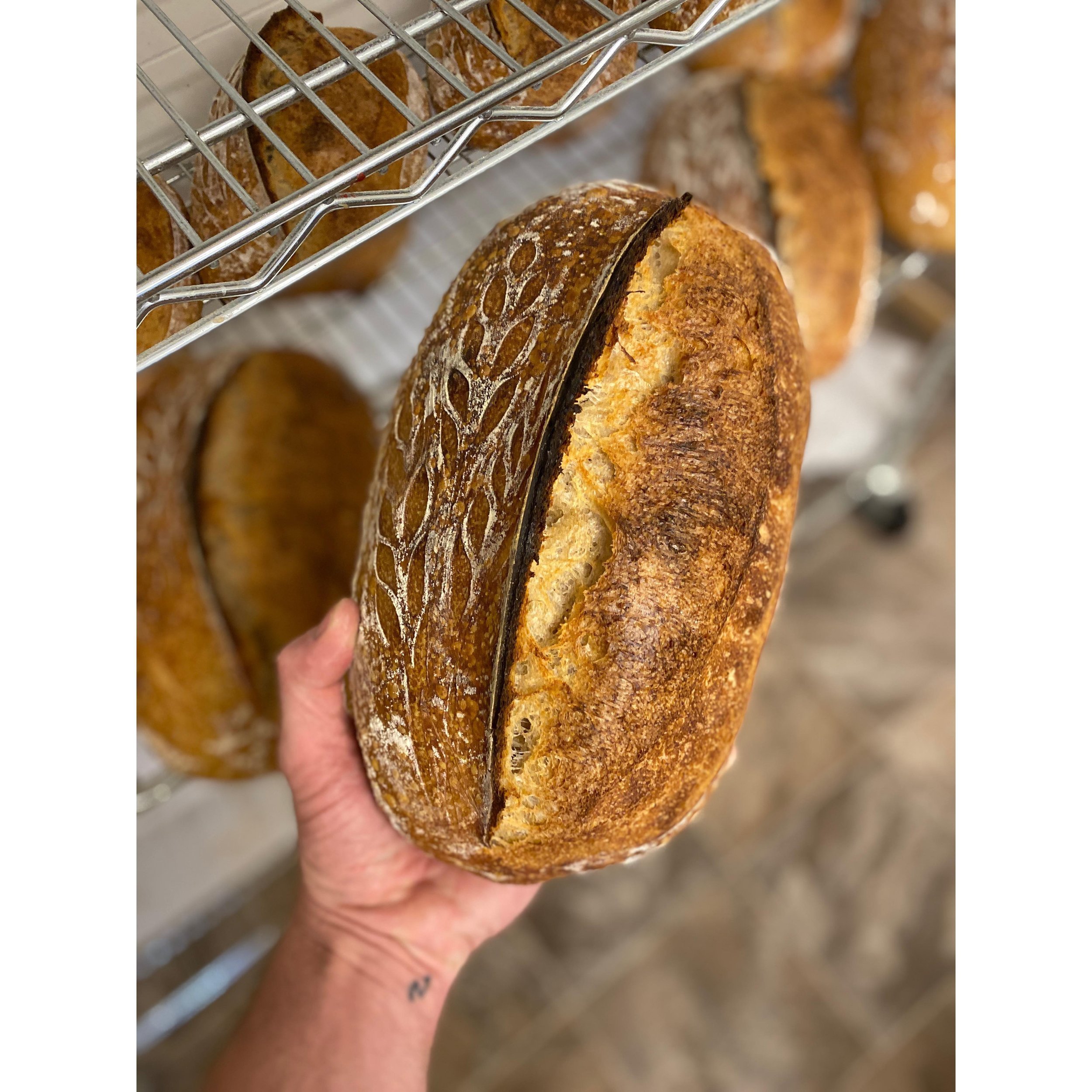 Menu is up for this week with all kinds of tasty things like Jalape&ntilde;o Cheddar, Sesame Semolina Epis and this Rouge de Bordeaux Country loaf. Link in bio!